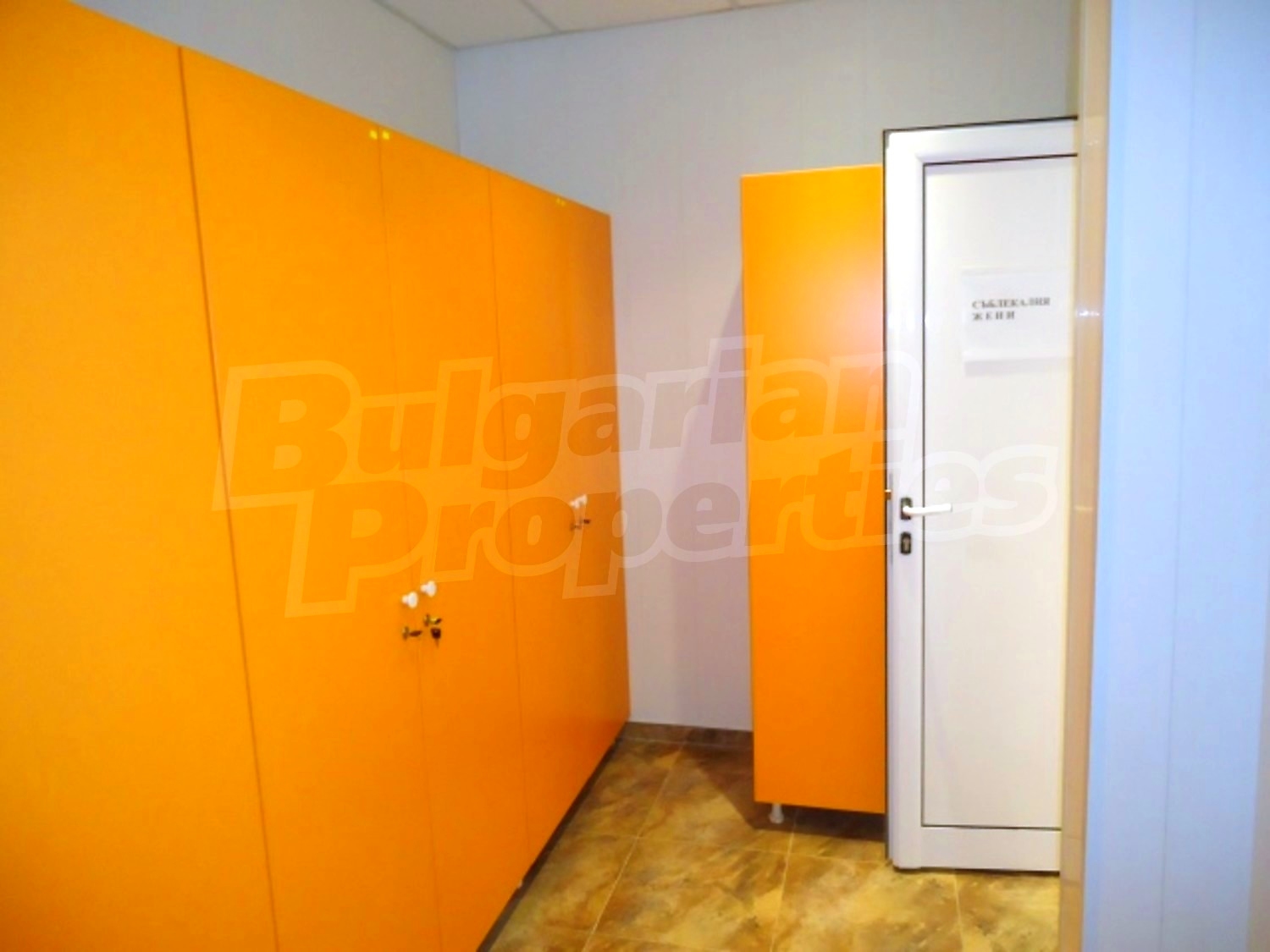Gallery Picture 19