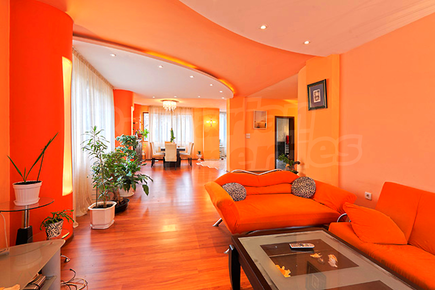 Gallery Picture 10