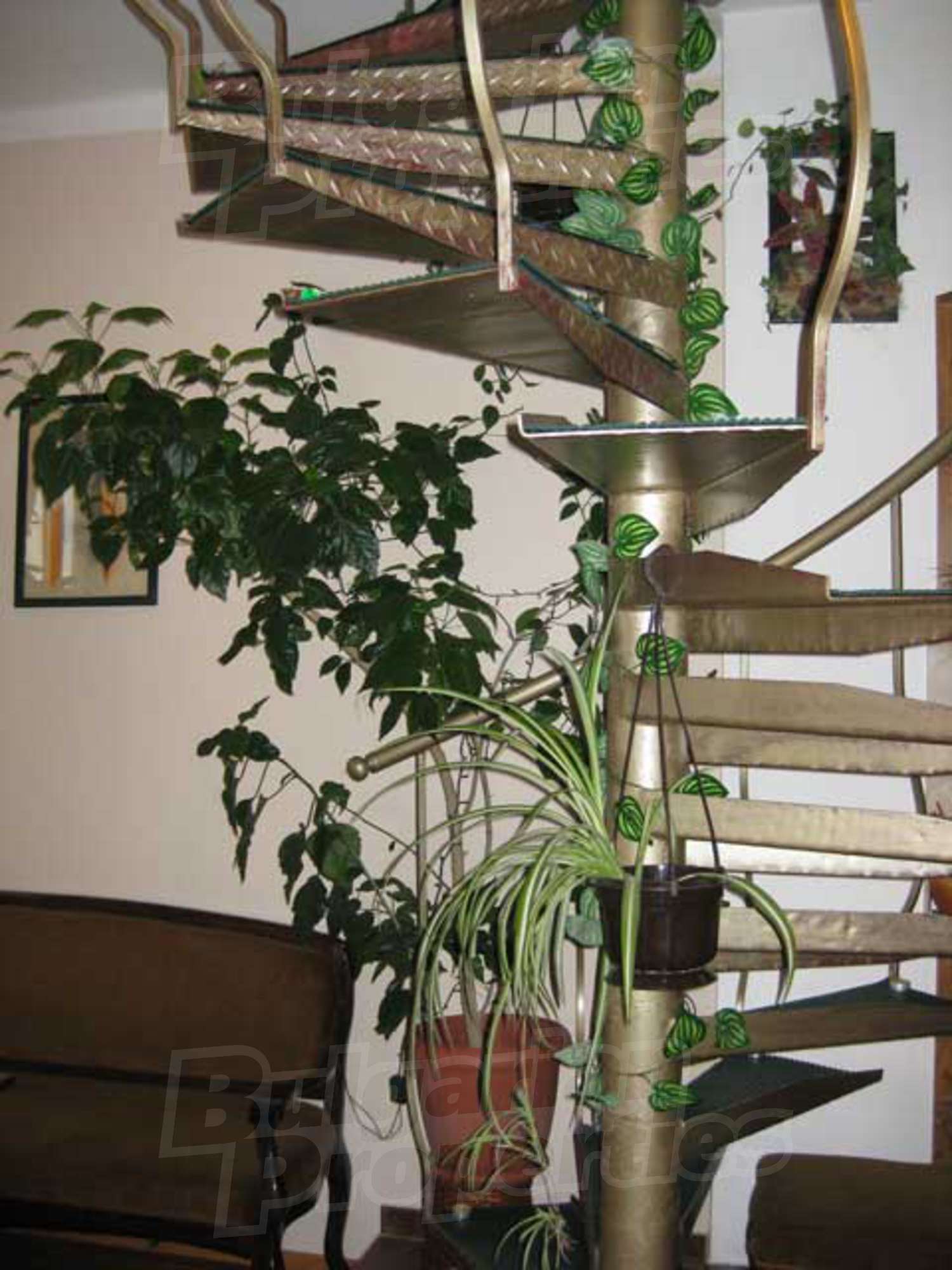 Gallery Picture 5