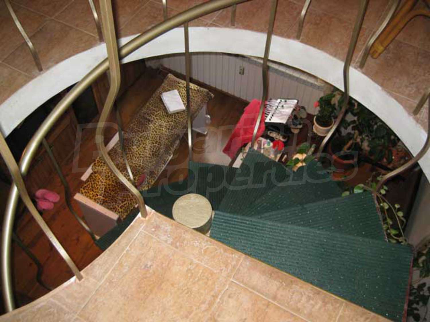 Gallery Picture 6