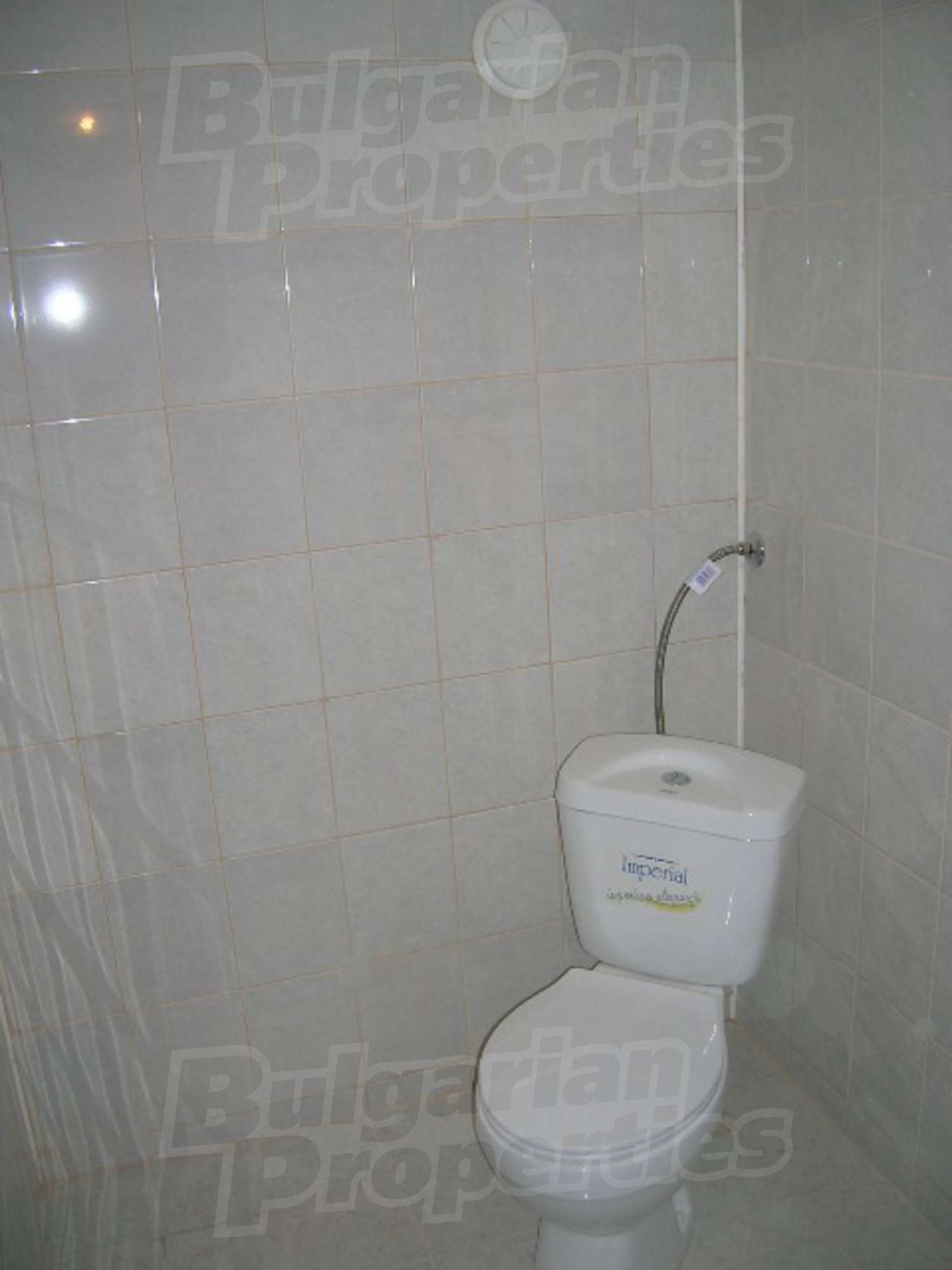 Gallery Picture 22