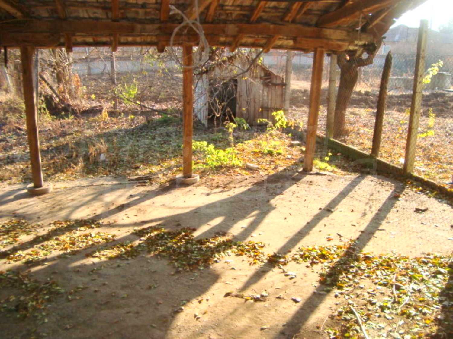Gallery Picture 10