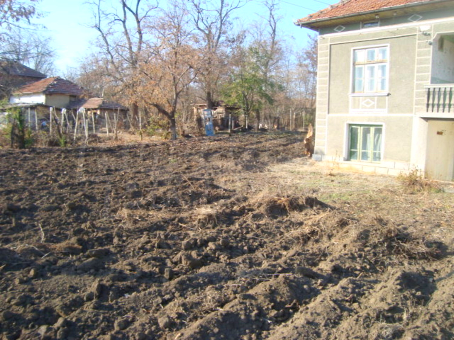 Gallery Picture 11