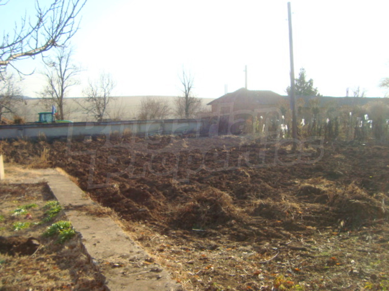 Gallery Picture 12