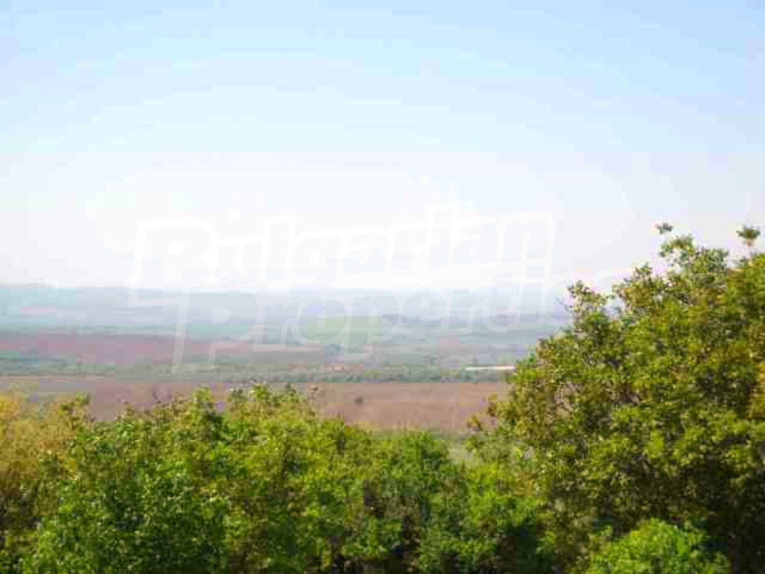 Gallery Picture 17