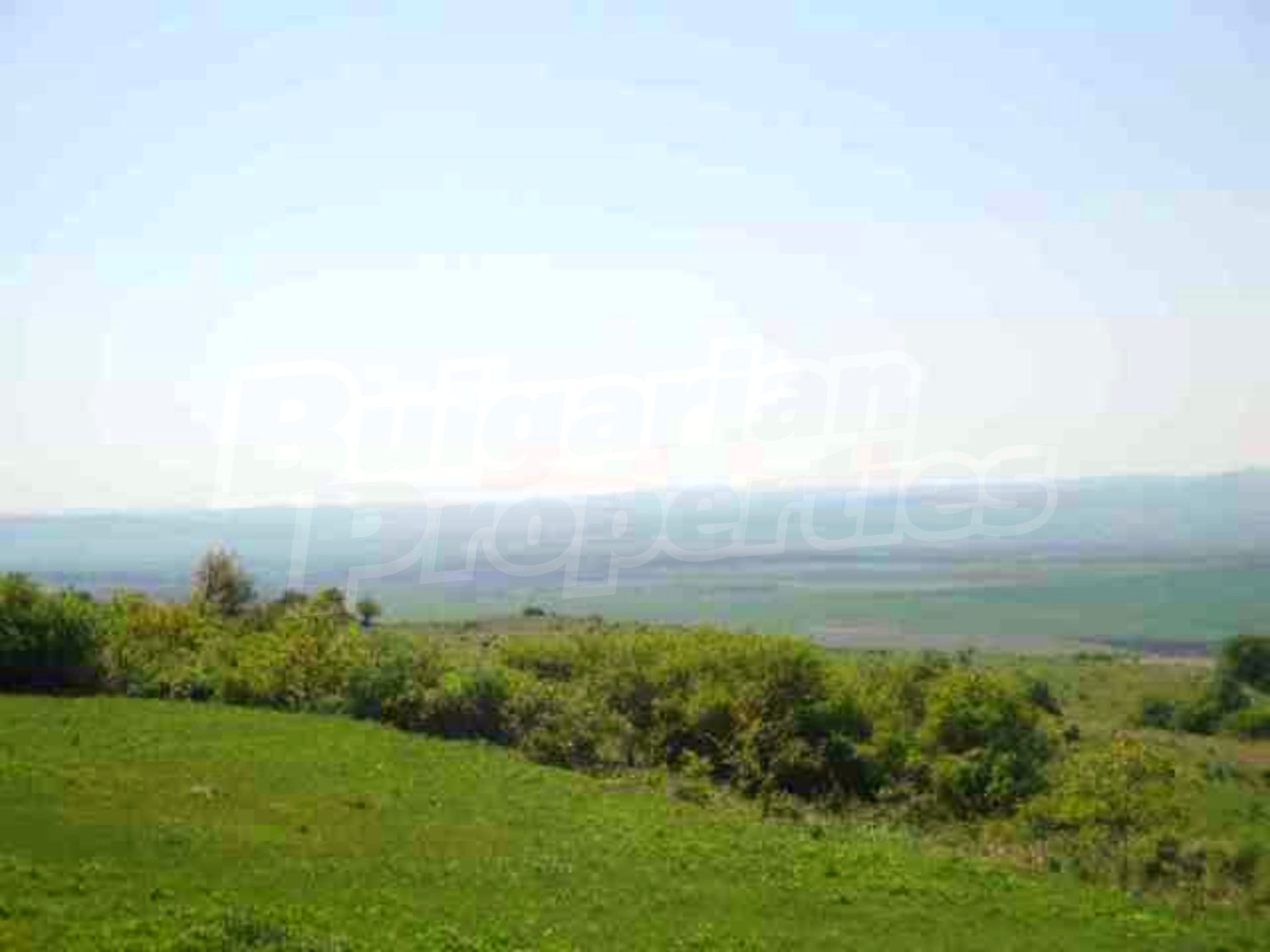 Gallery Picture 18