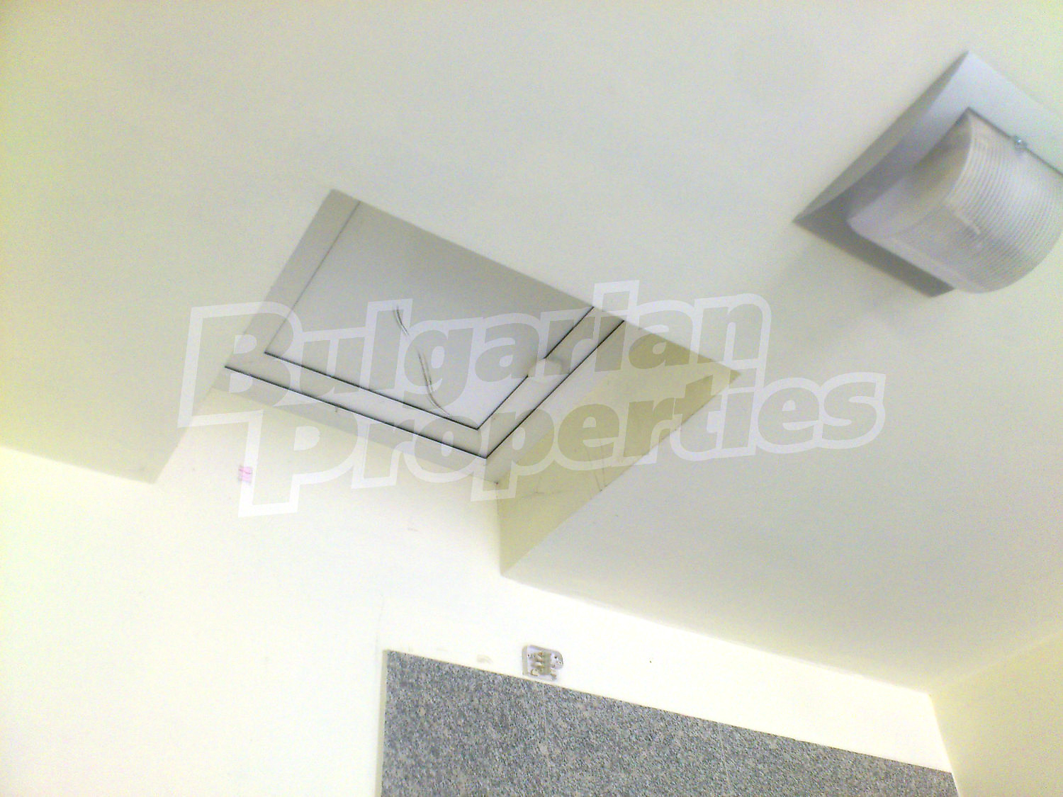 Gallery Picture 11