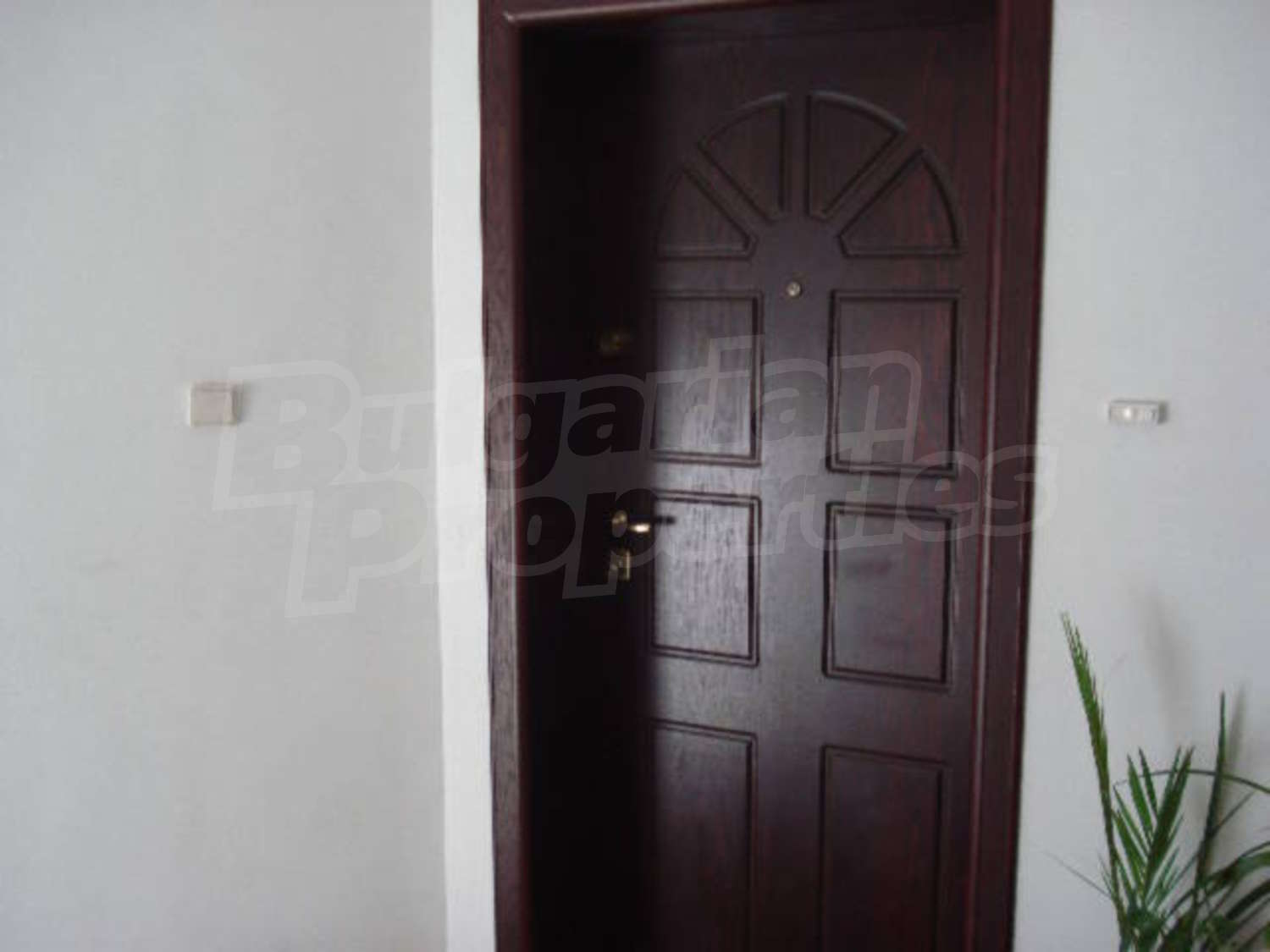 Gallery Picture 4