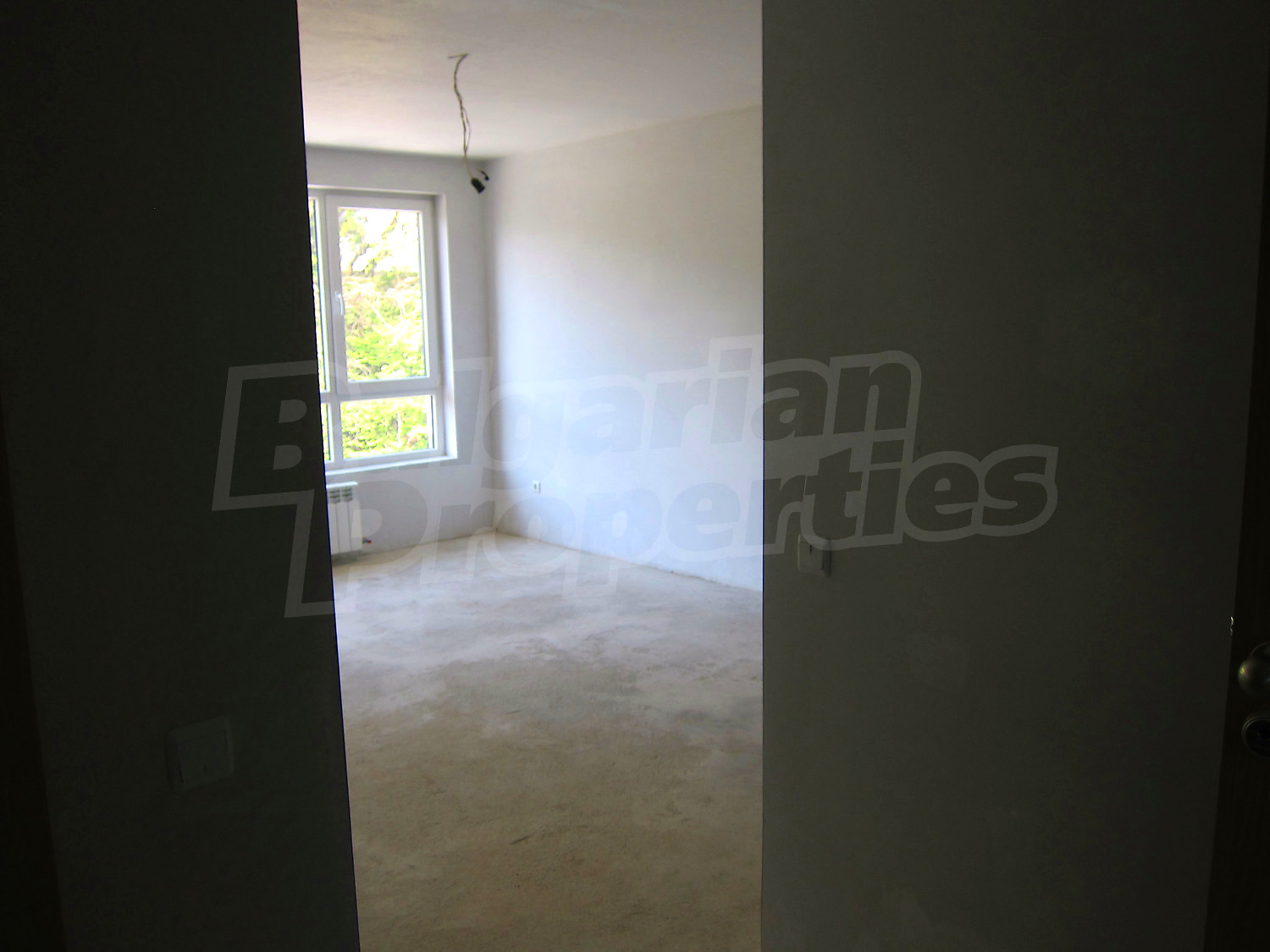 Gallery Picture 16