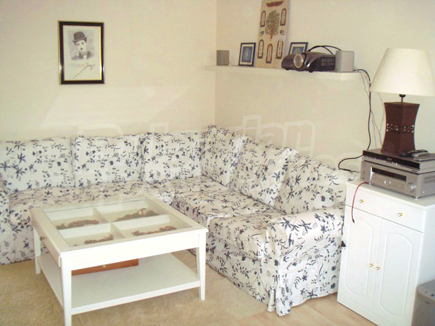 Gallery Picture 41