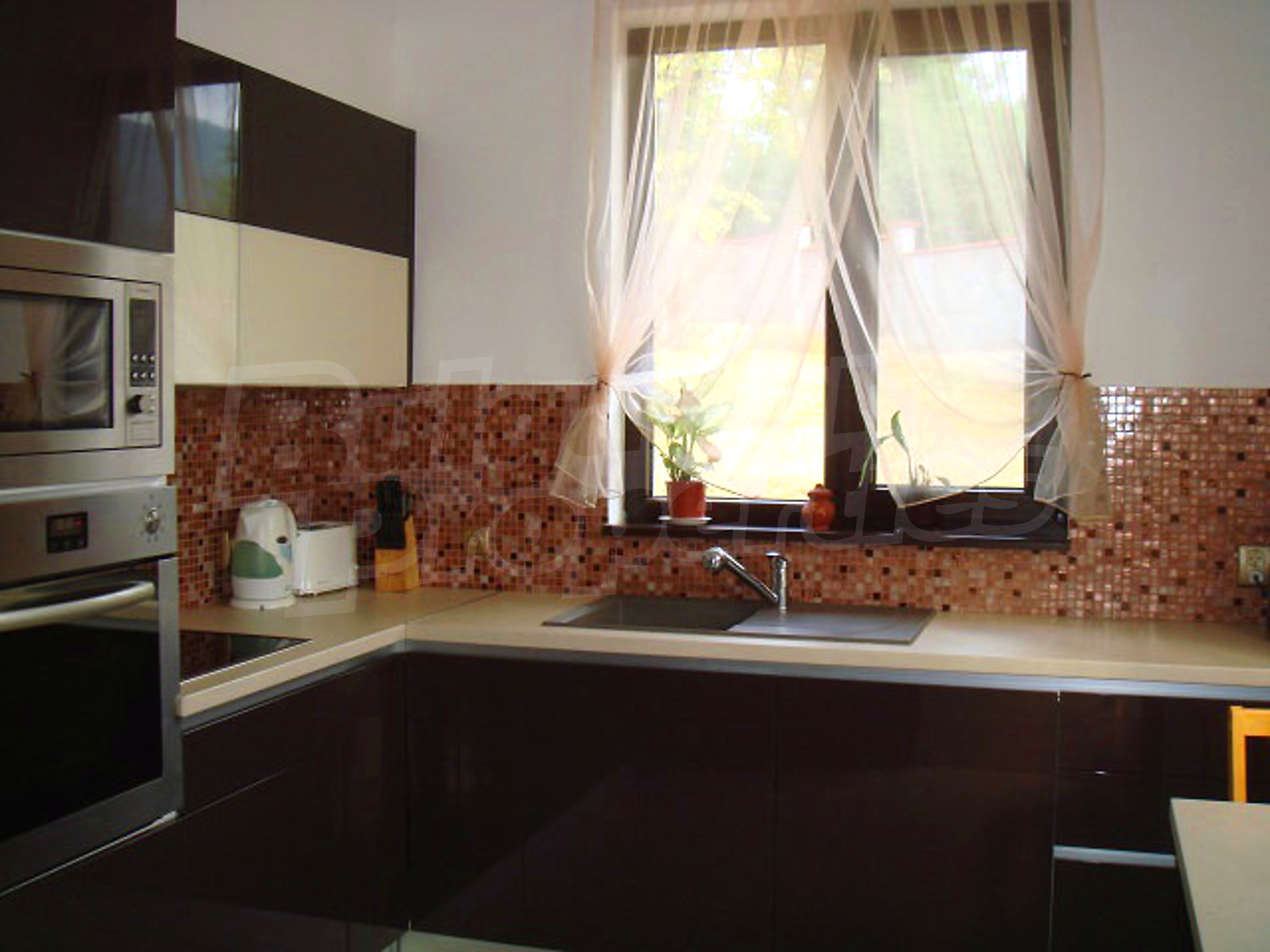 Gallery Picture 45