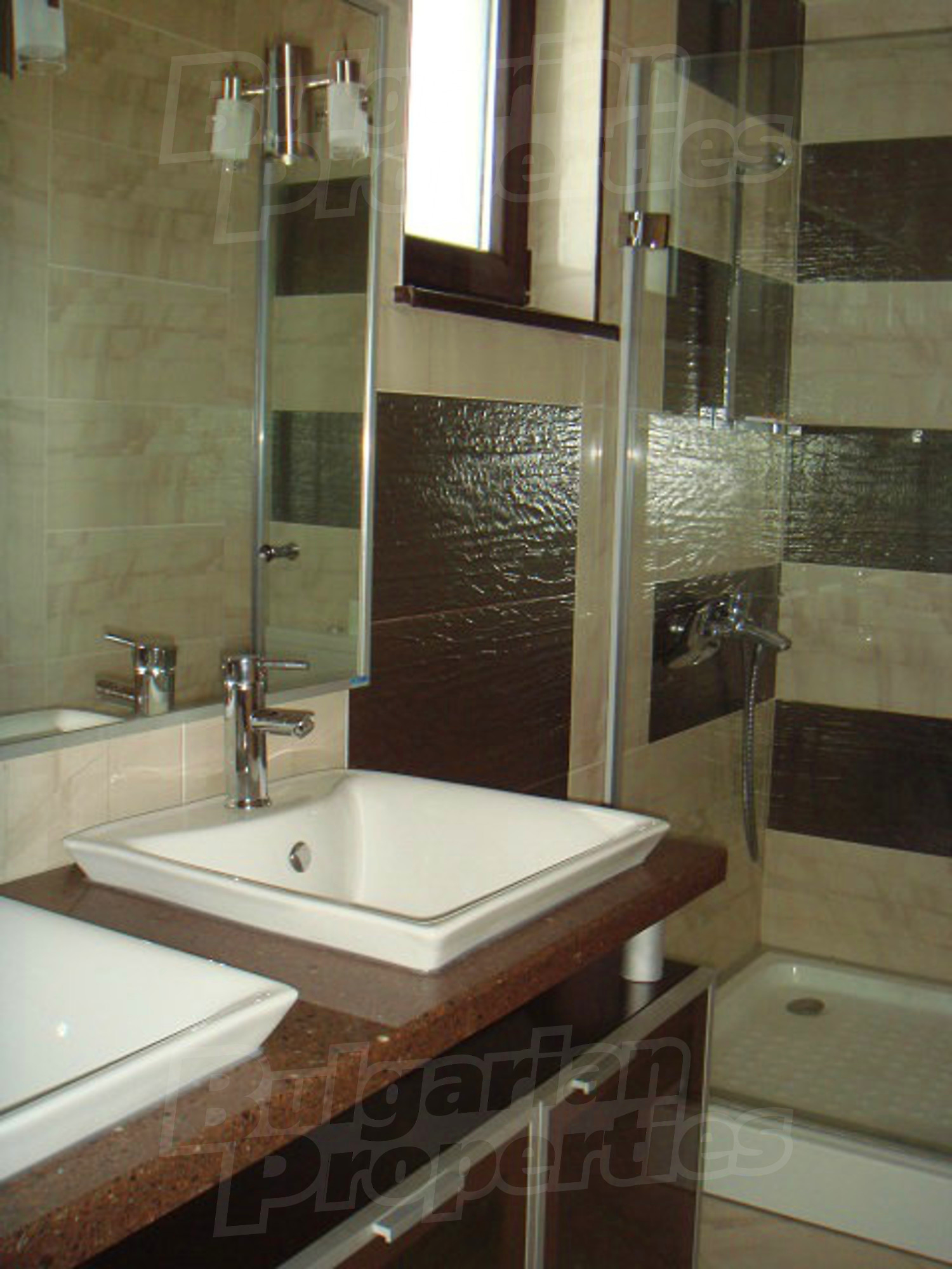Gallery Picture 53