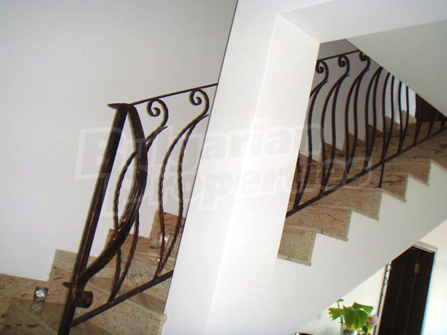 Gallery Picture 55