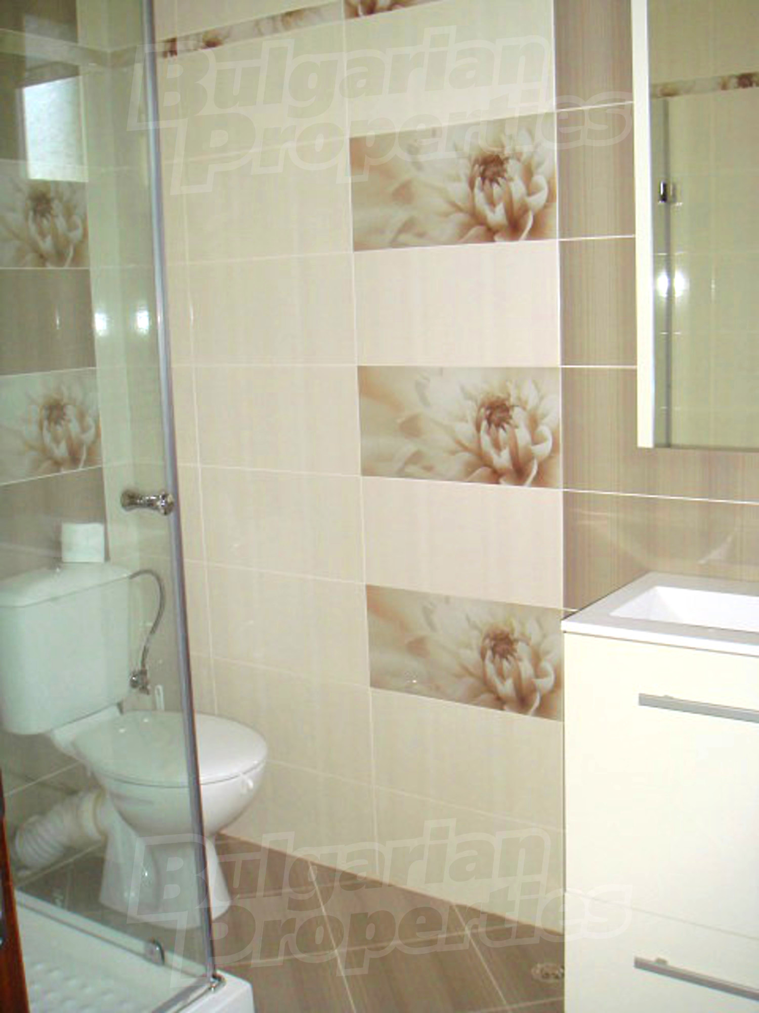 Gallery Picture 58