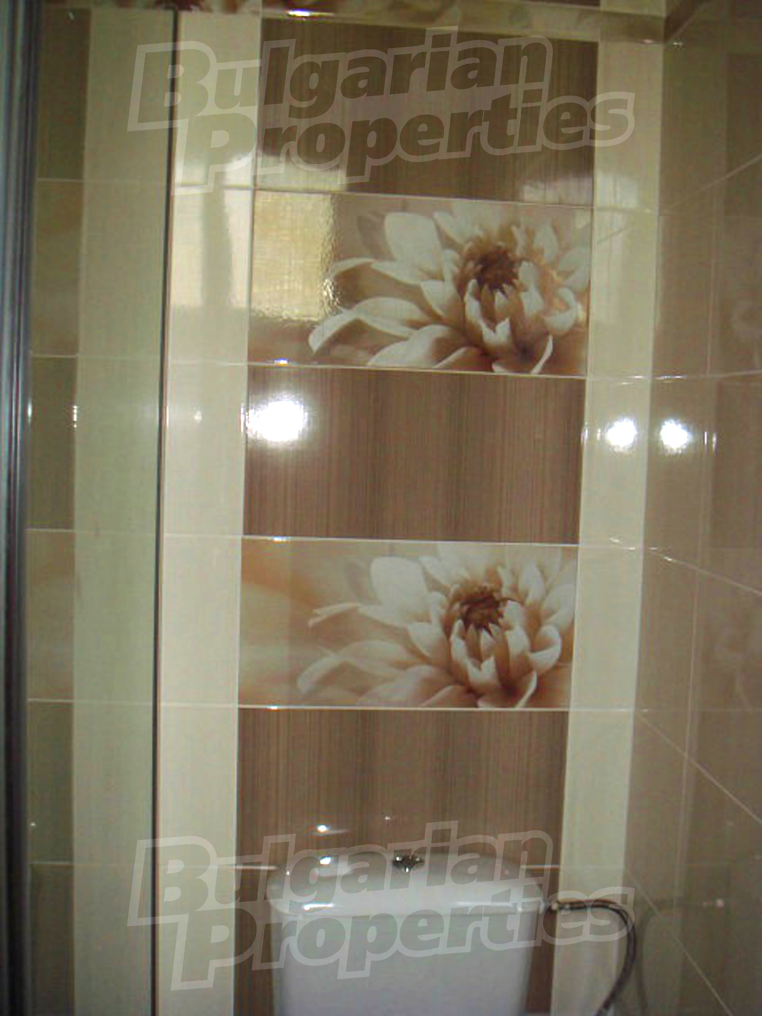 Gallery Picture 65