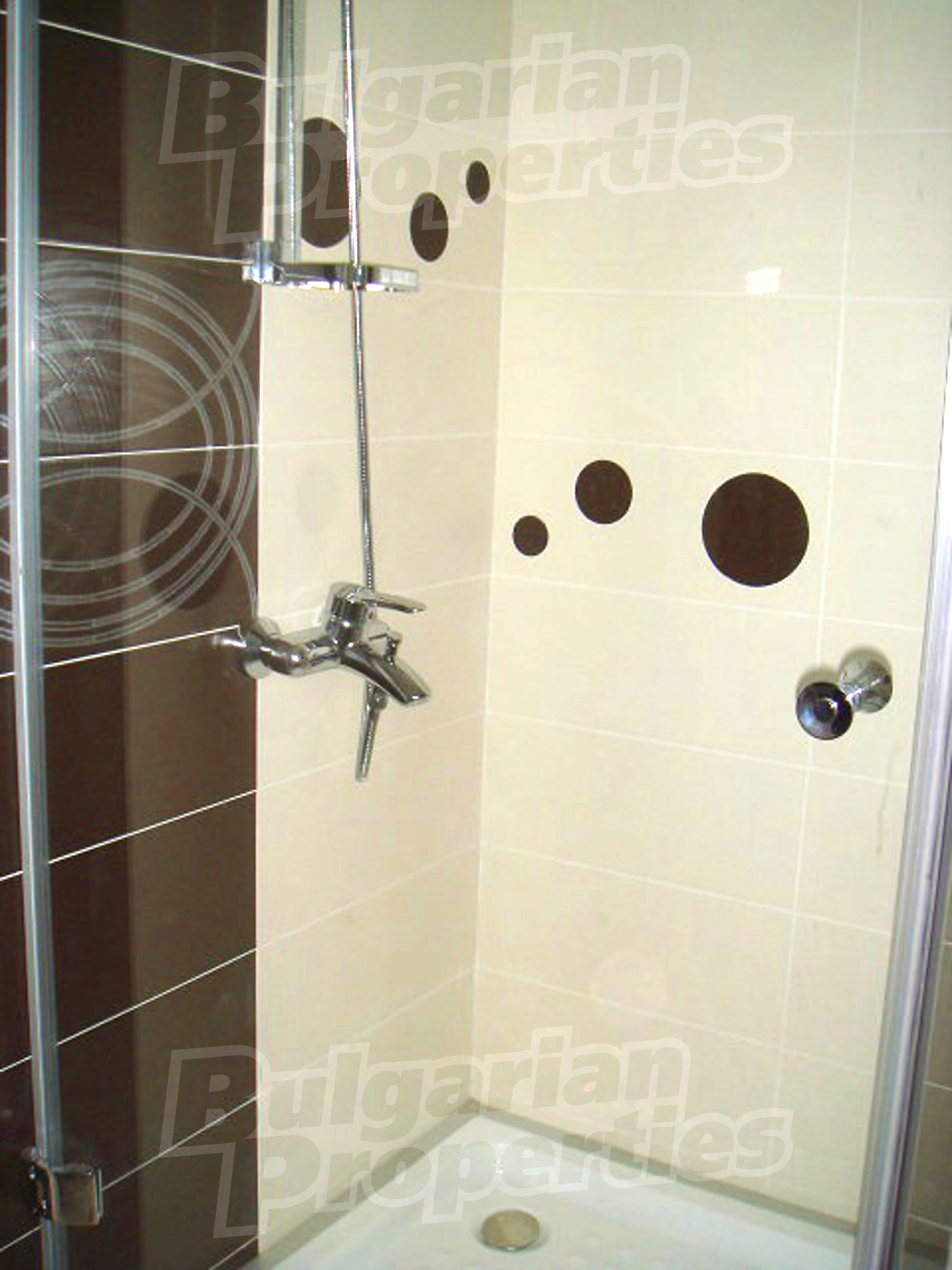 Gallery Picture 69