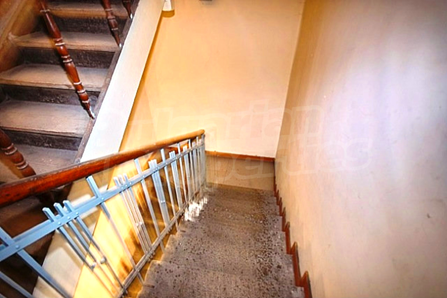 Gallery Picture 5