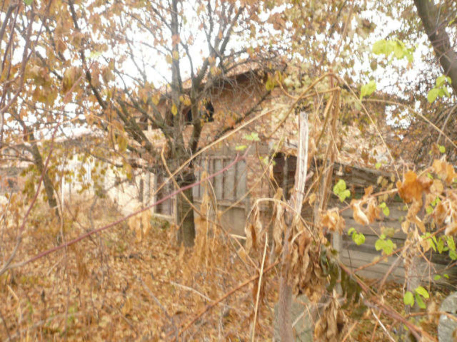 Gallery Picture 10