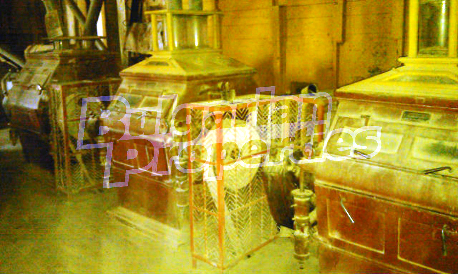 Gallery Picture 15