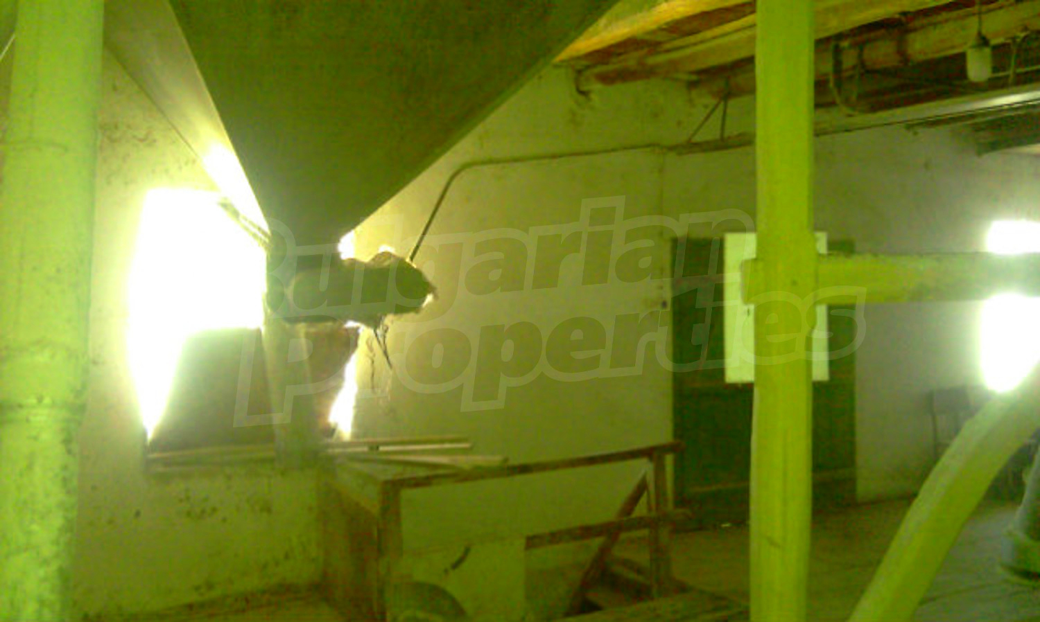 Gallery Picture 29