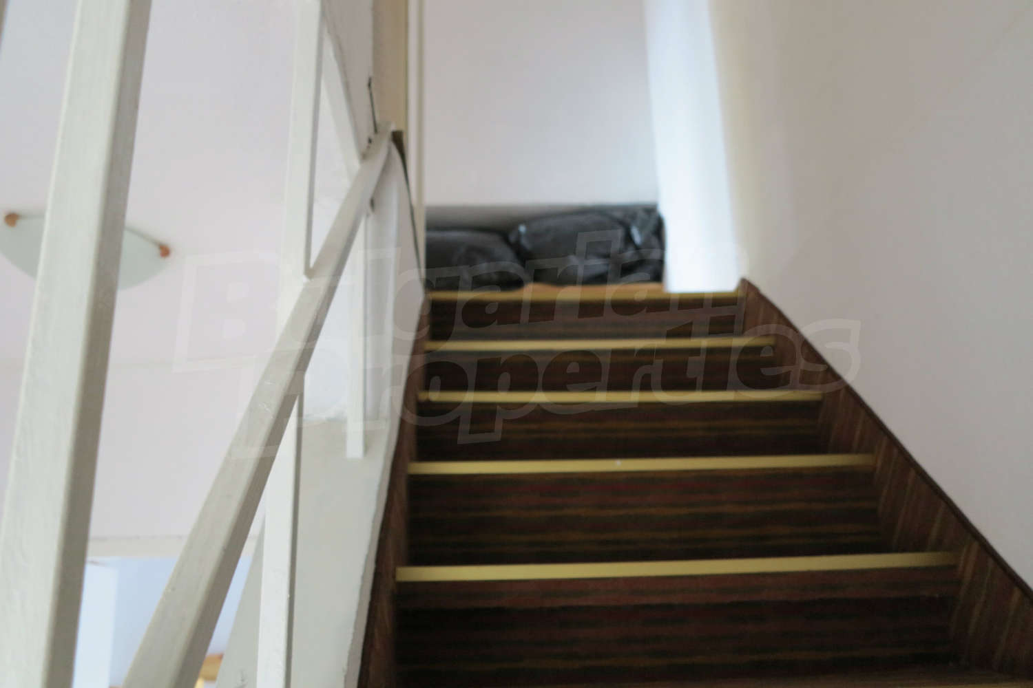 Gallery Picture 37