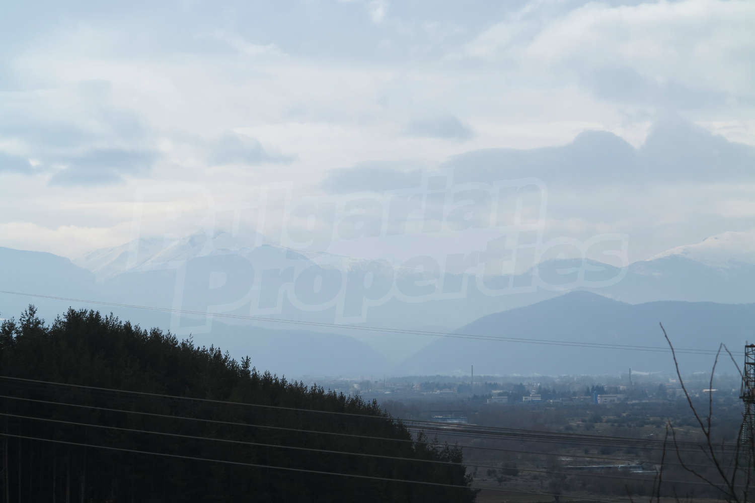 Gallery Picture 44