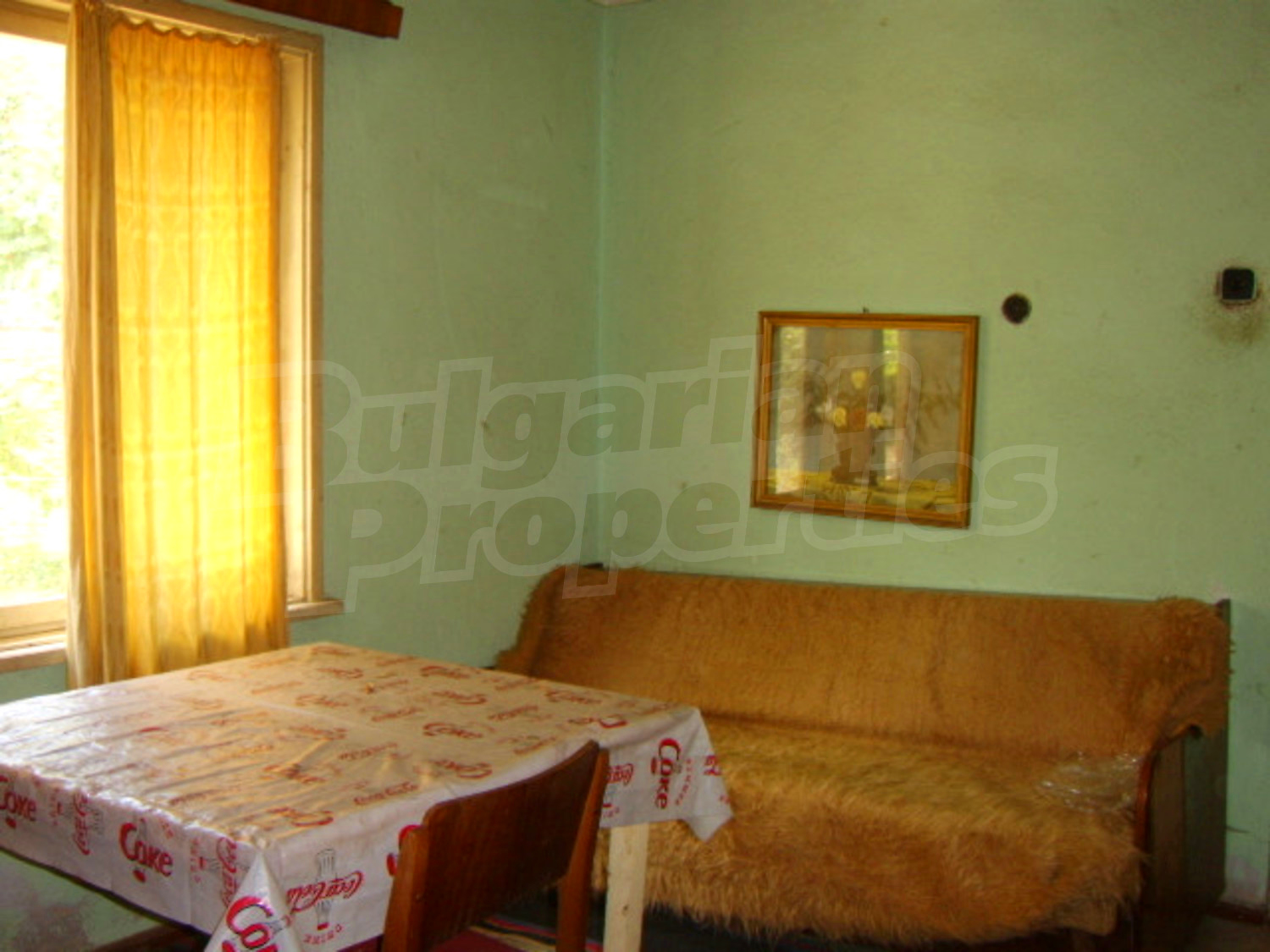 Gallery Picture 12