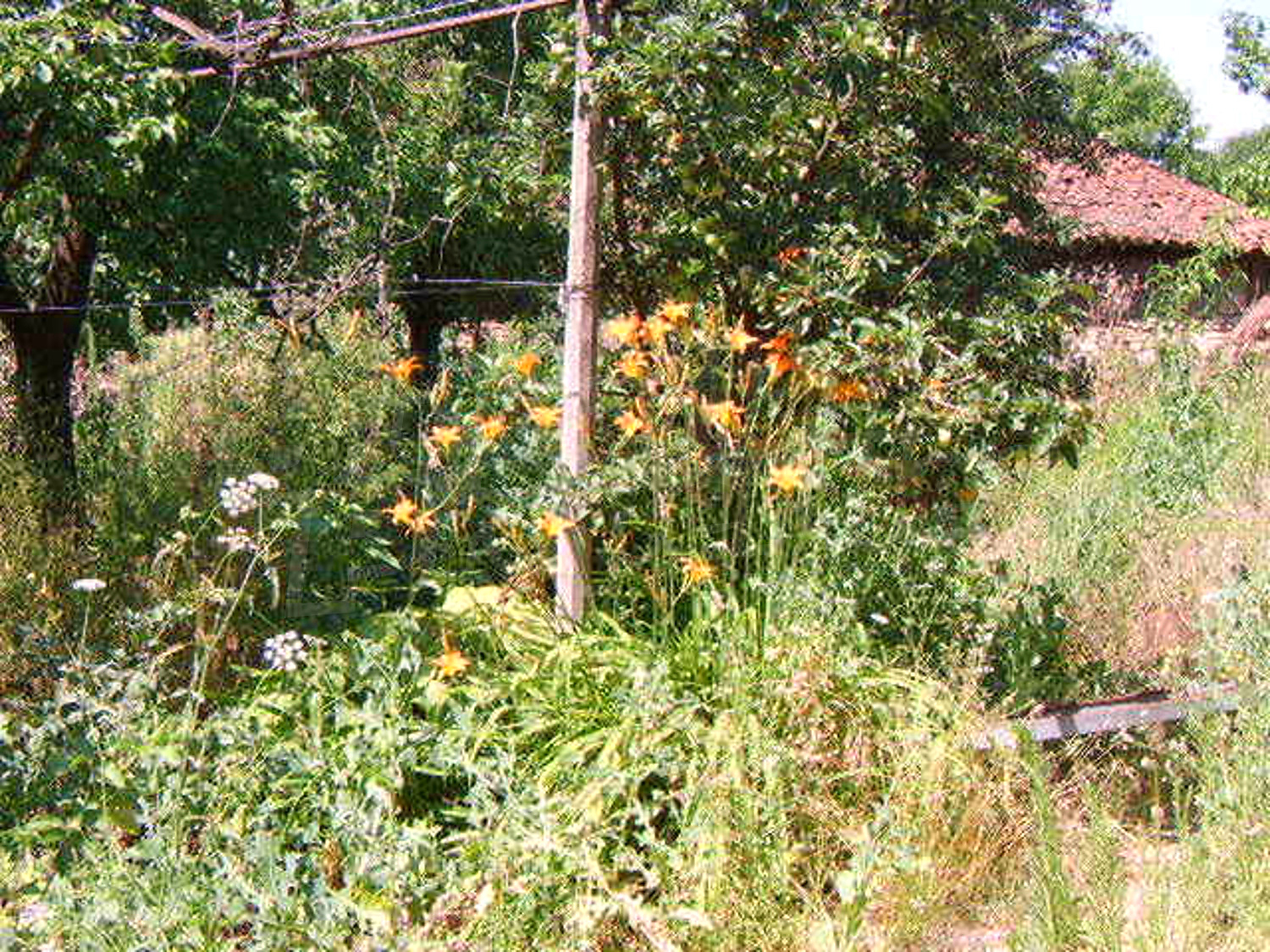 Gallery Picture 15