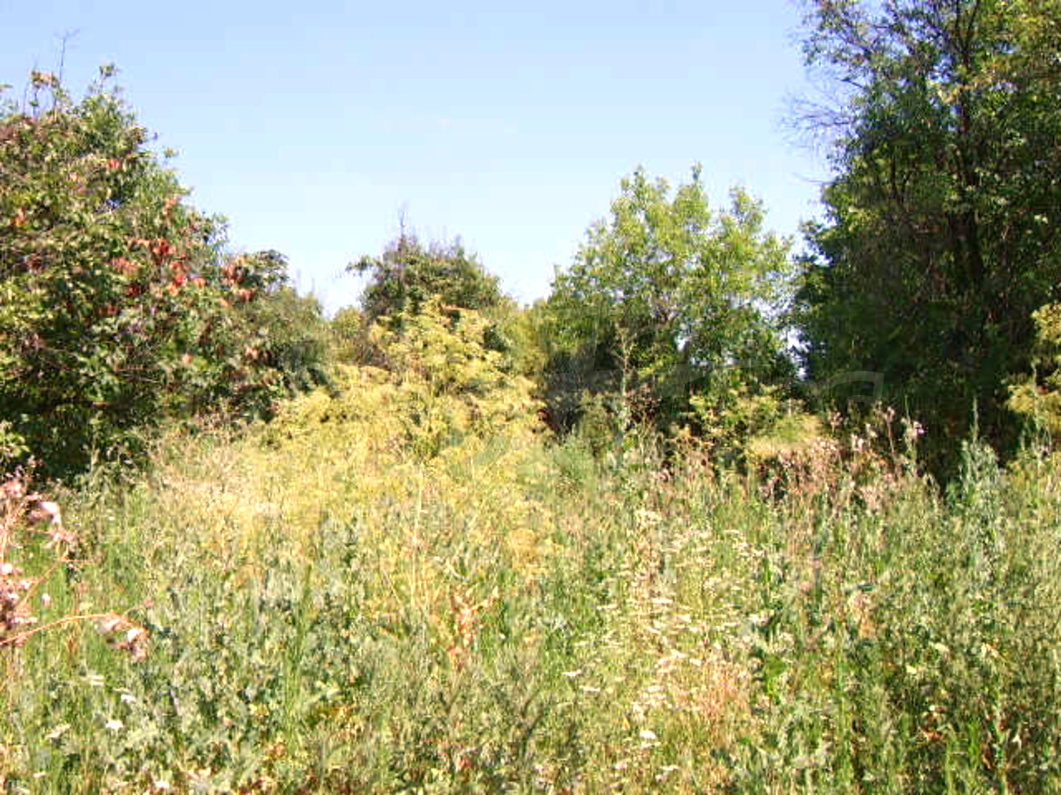 Gallery Picture 16