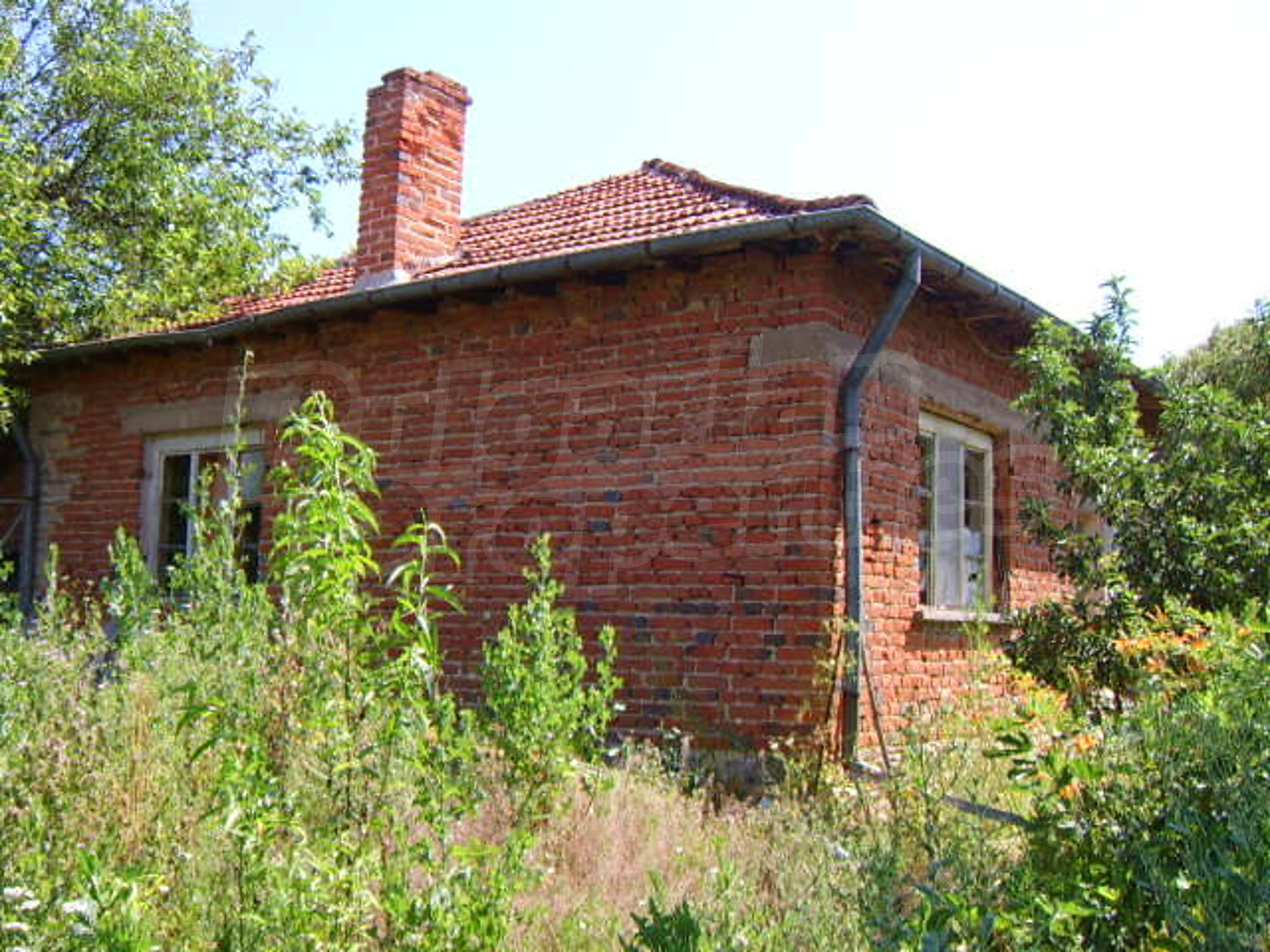 Gallery Picture 2