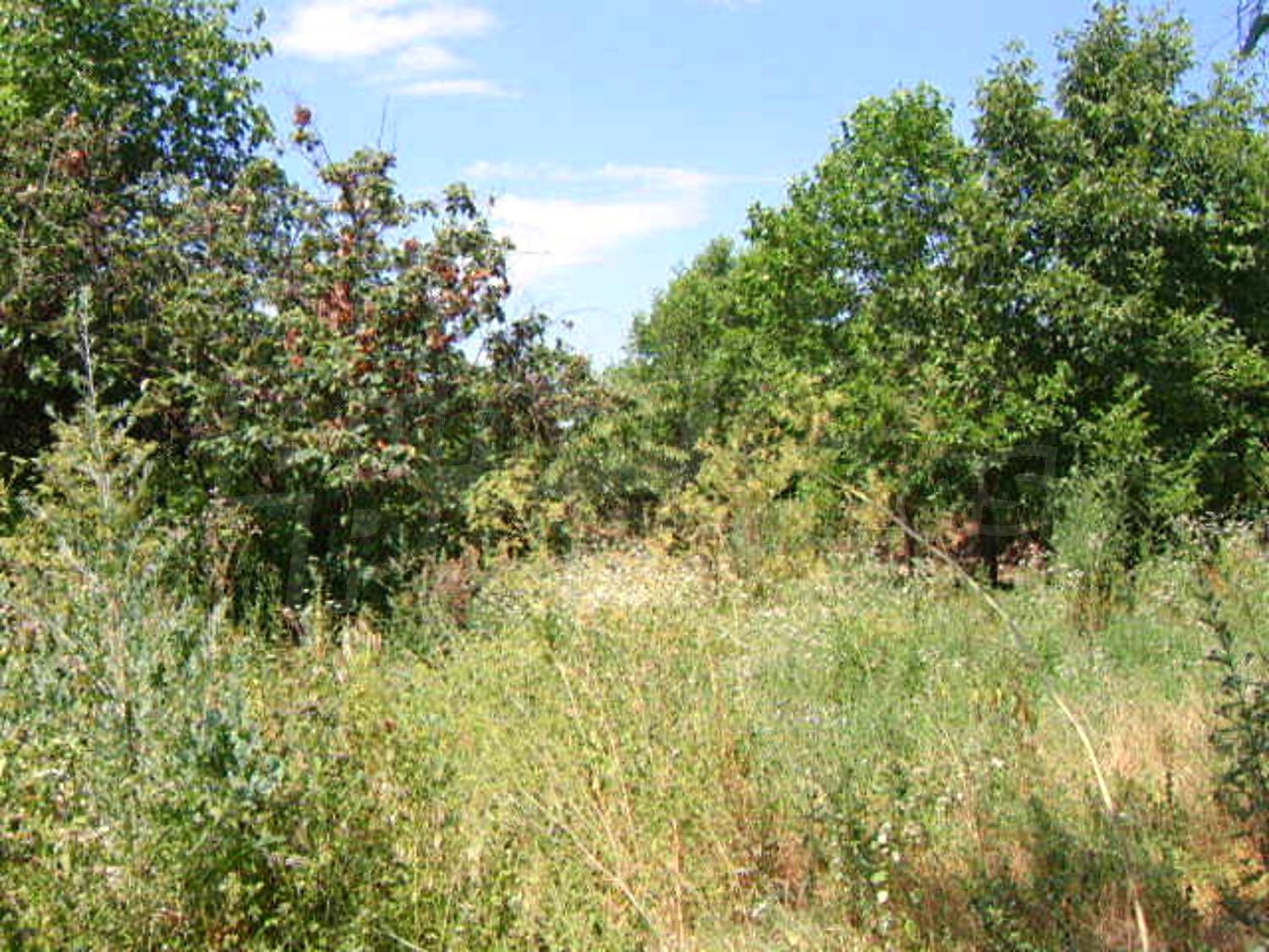 Gallery Picture 17