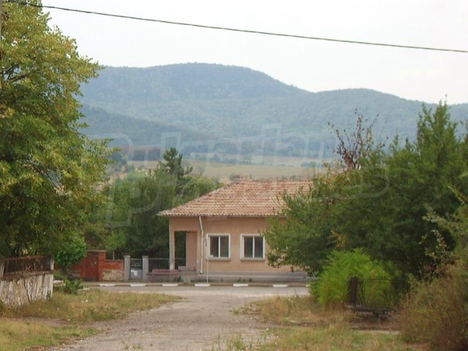 Gallery Picture 18