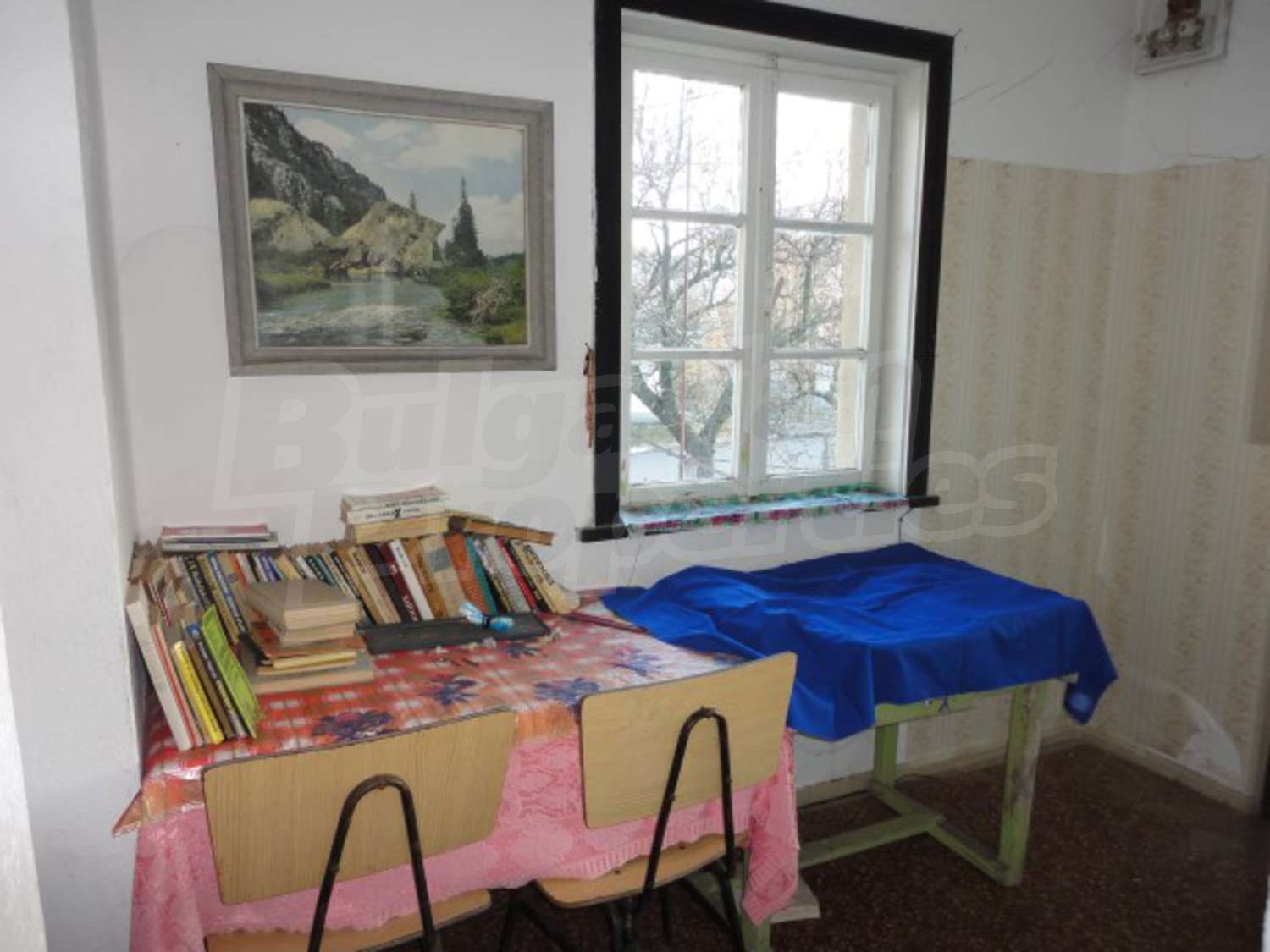 Gallery Picture 20