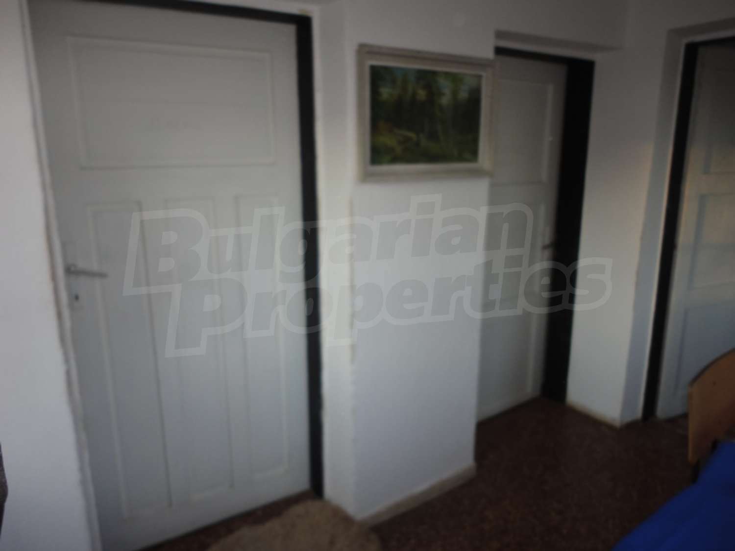 Gallery Picture 21
