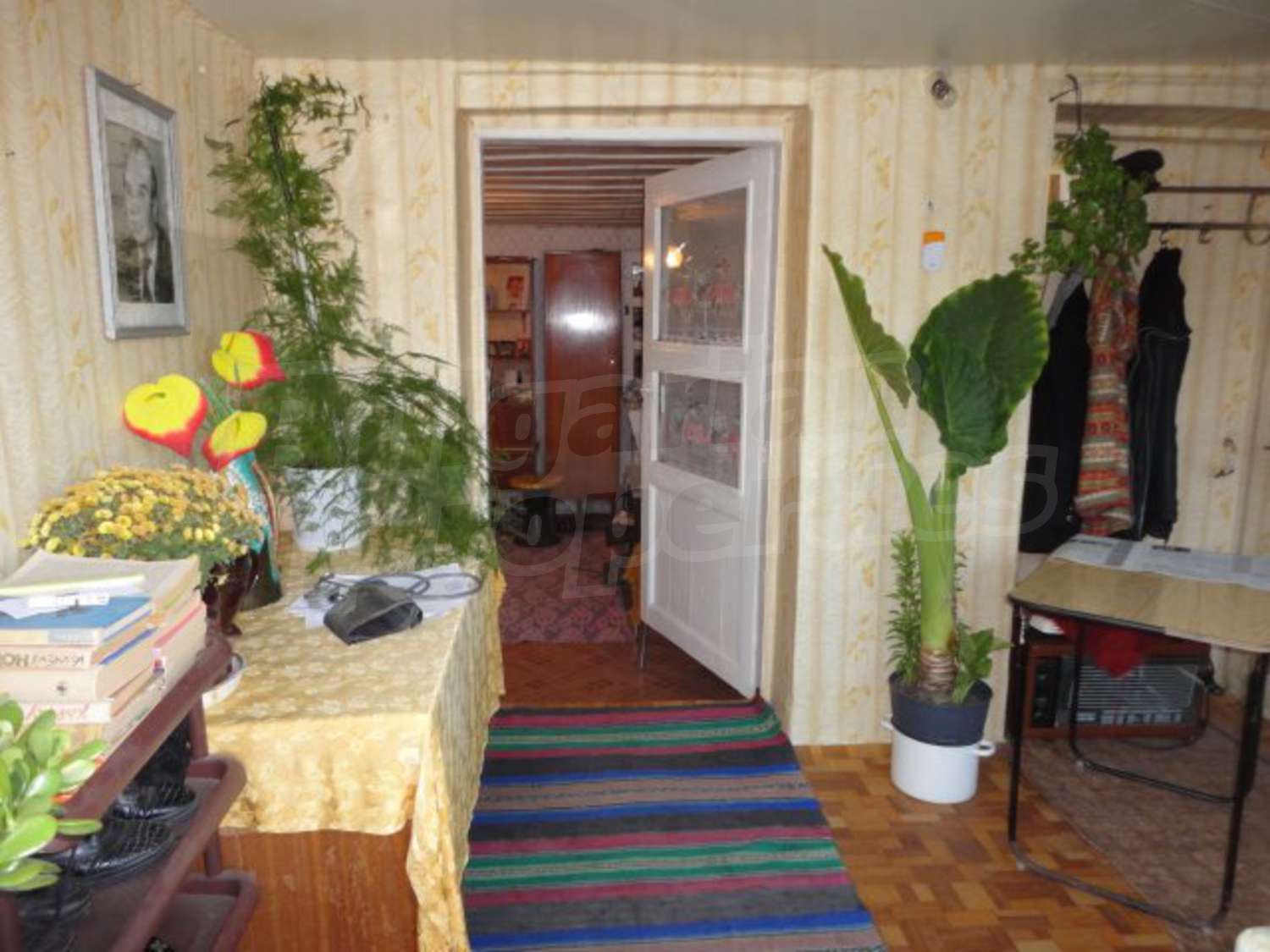 Gallery Picture 8