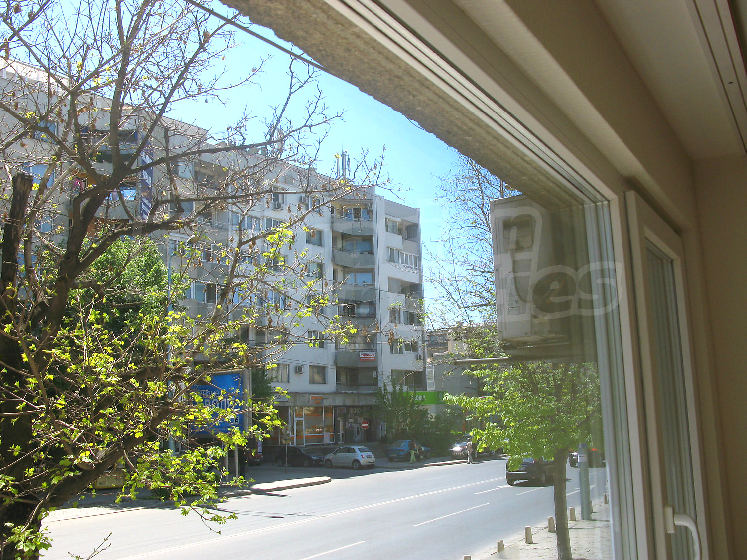 Gallery Picture 16