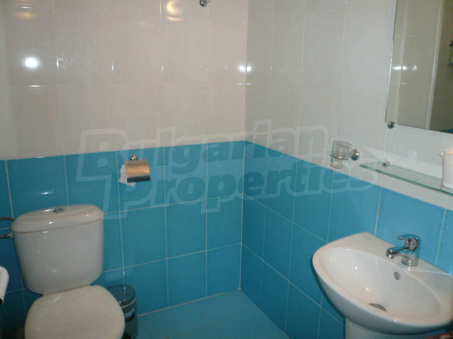 Gallery Picture 11