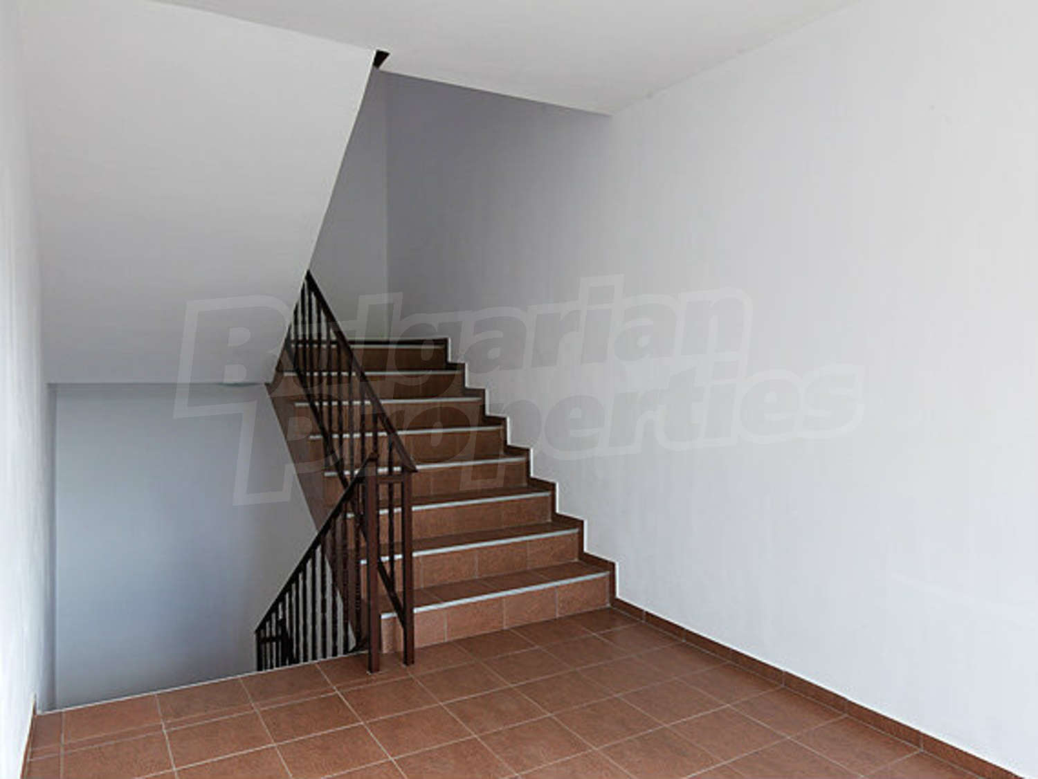 Gallery Picture 18