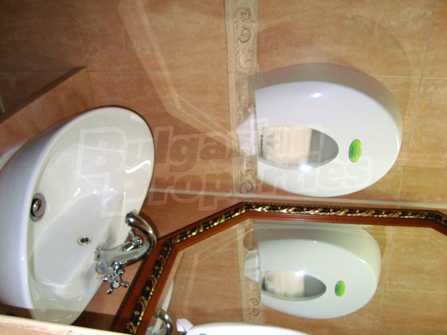 Gallery Picture 18