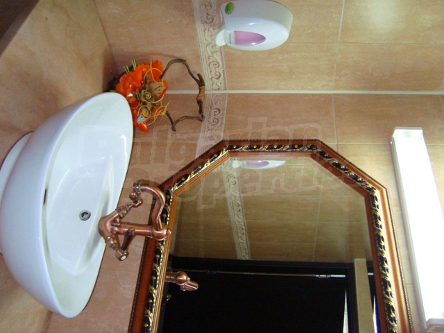 Gallery Picture 20