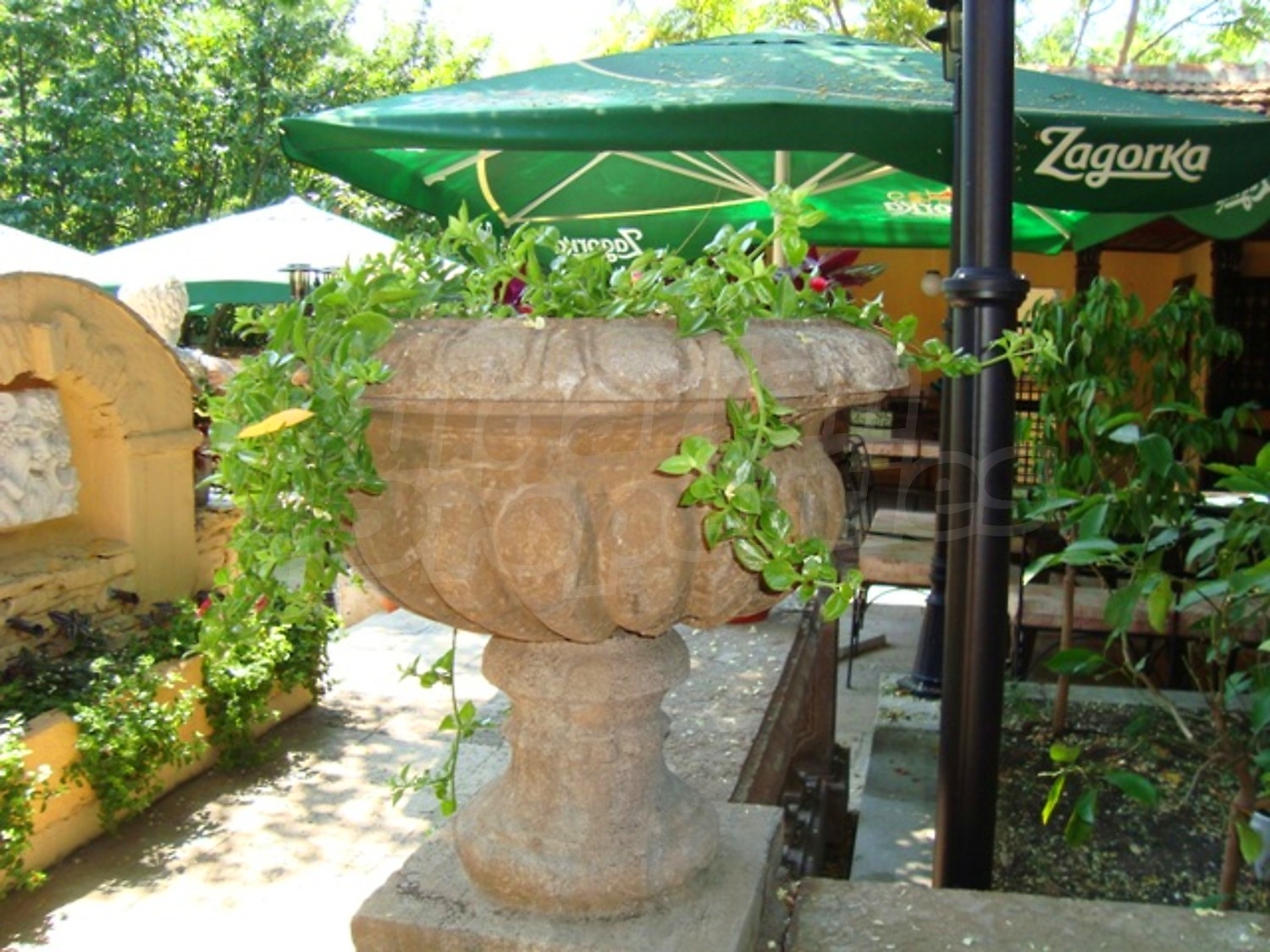 Gallery Picture 31