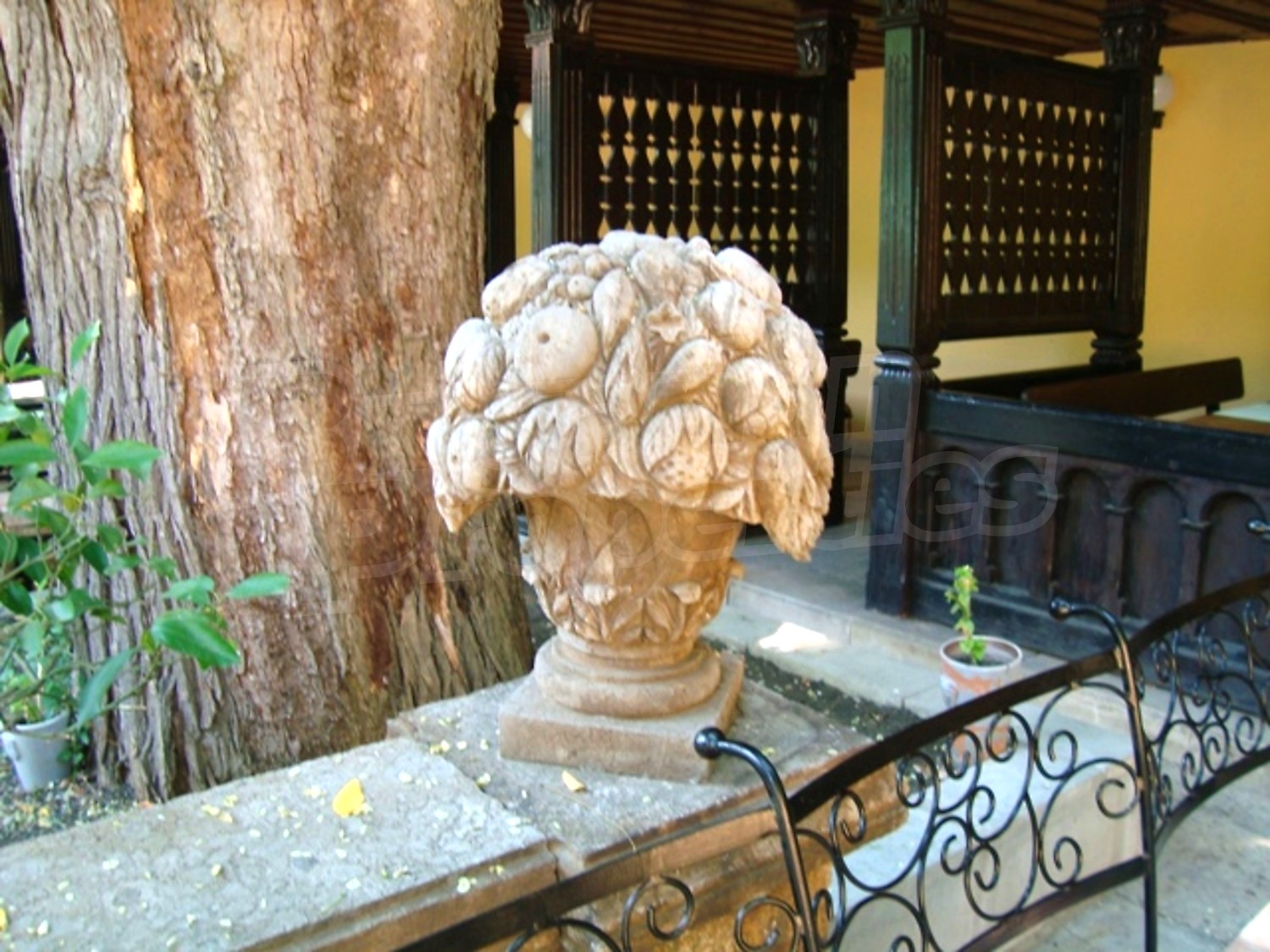 Gallery Picture 32
