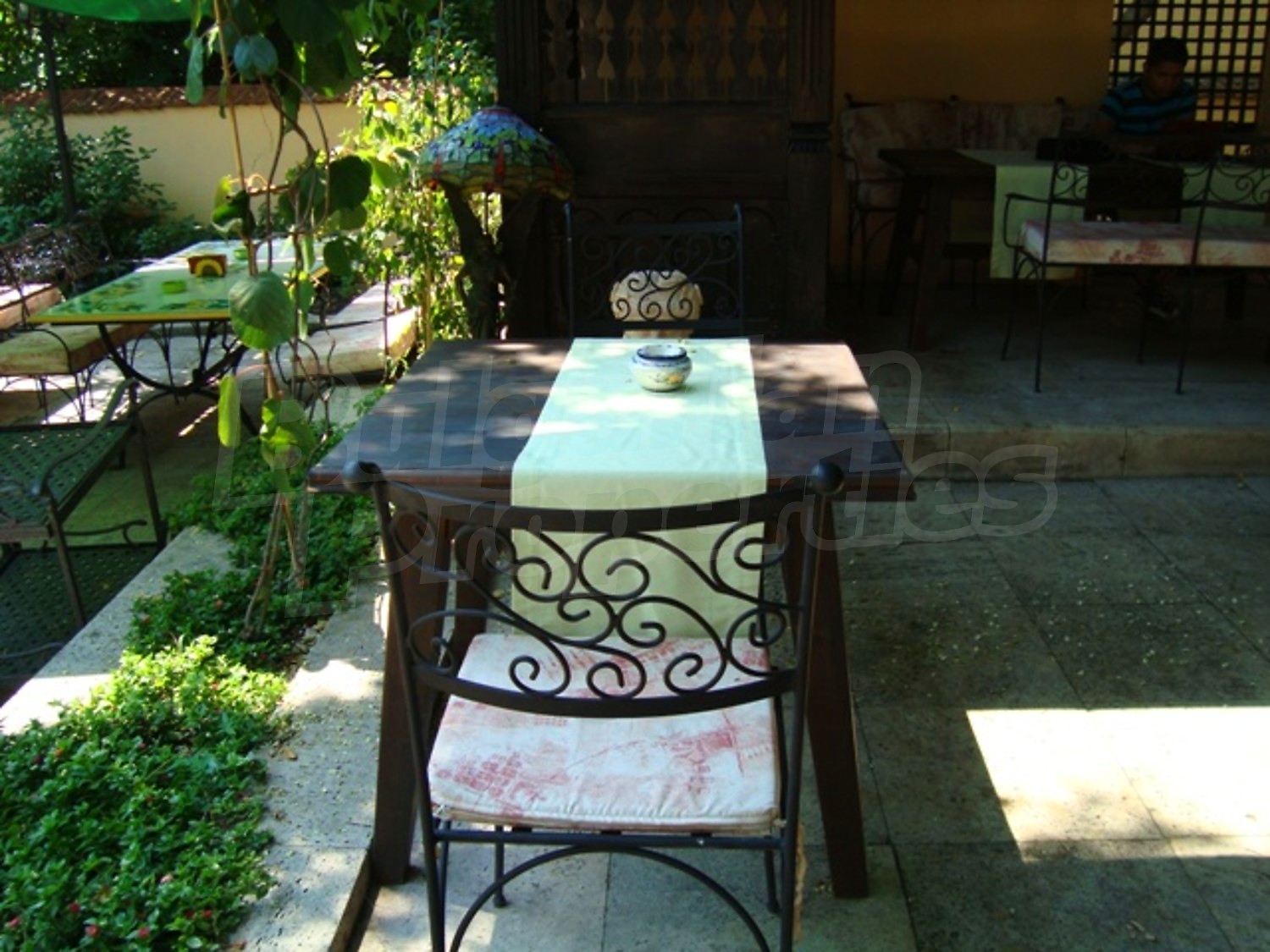 Gallery Picture 34