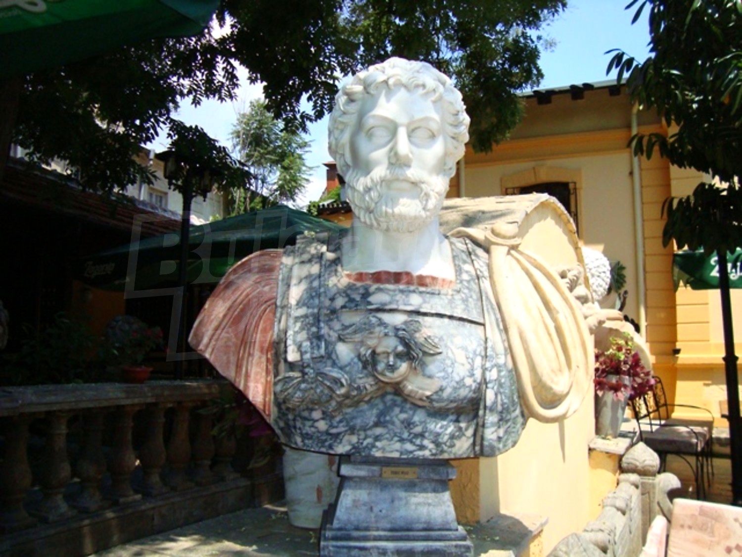Gallery Picture 35