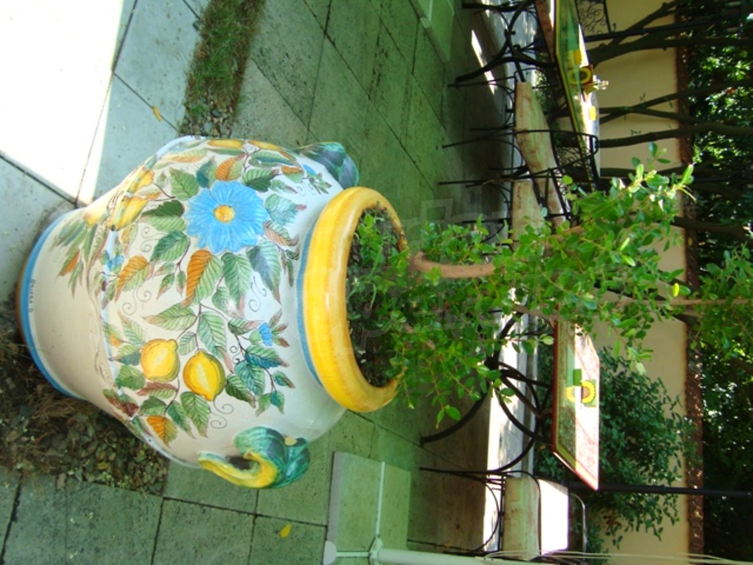 Gallery Picture 37
