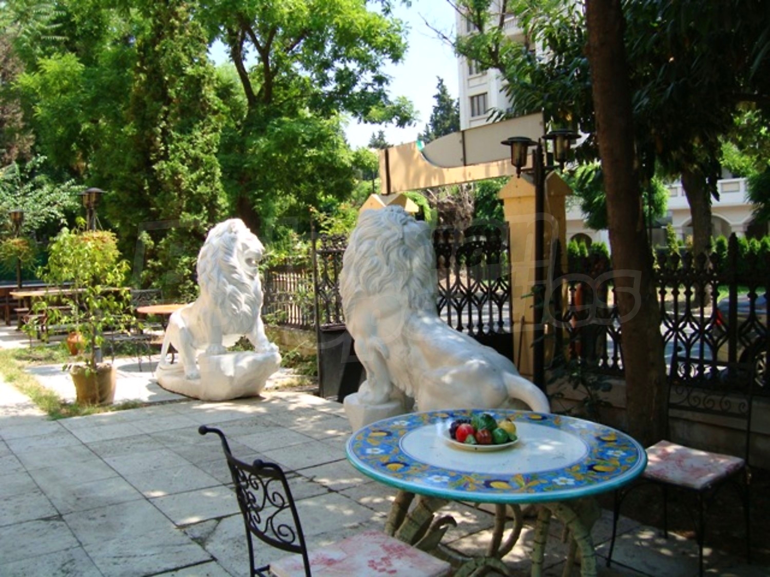 Gallery Picture 39