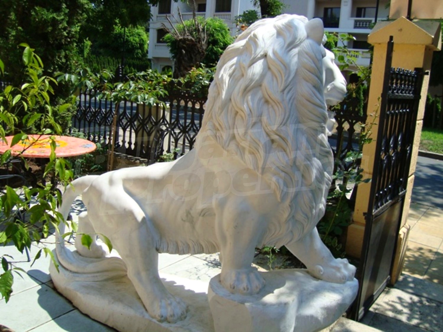 Gallery Picture 40