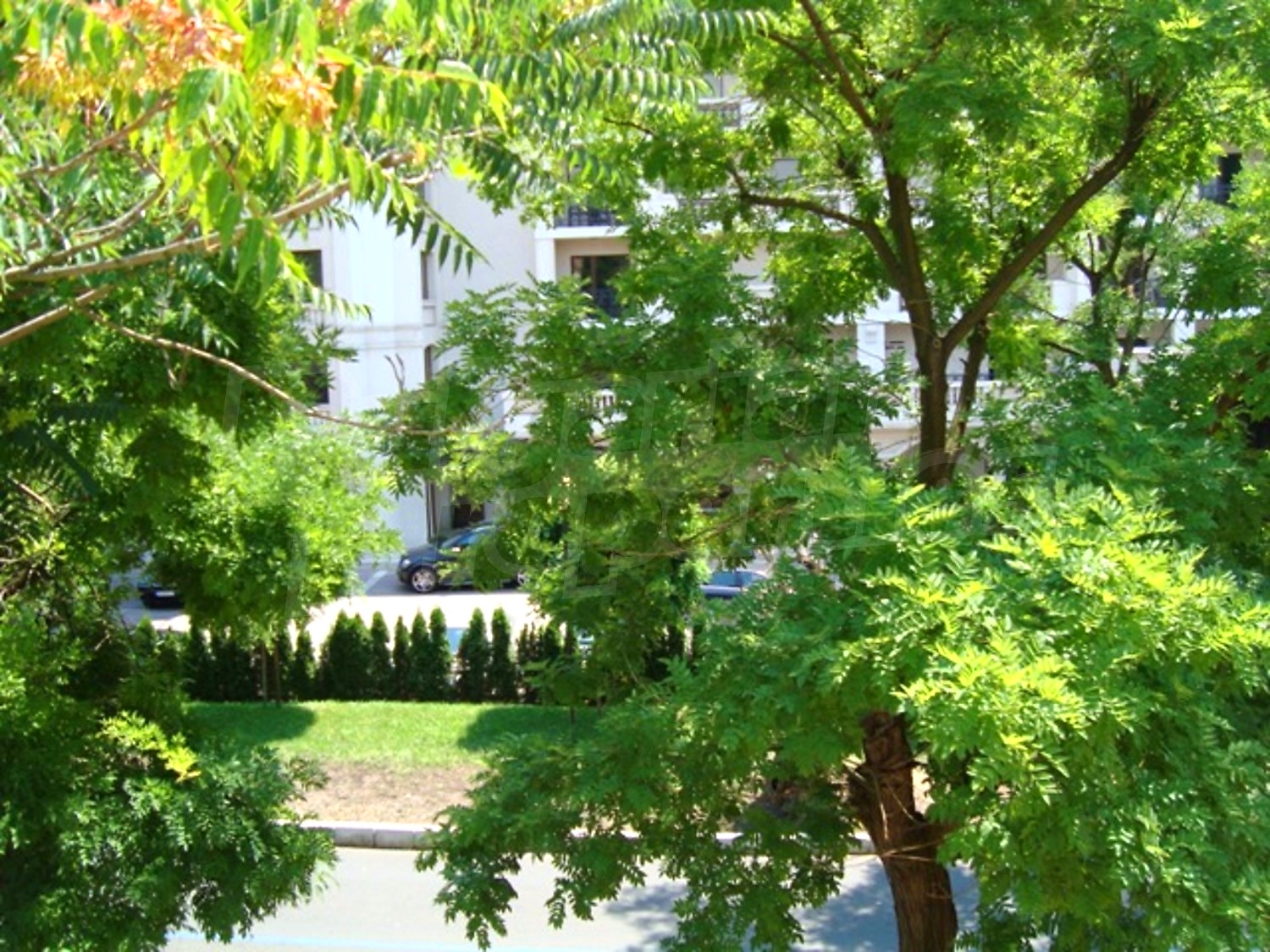 Gallery Picture 44