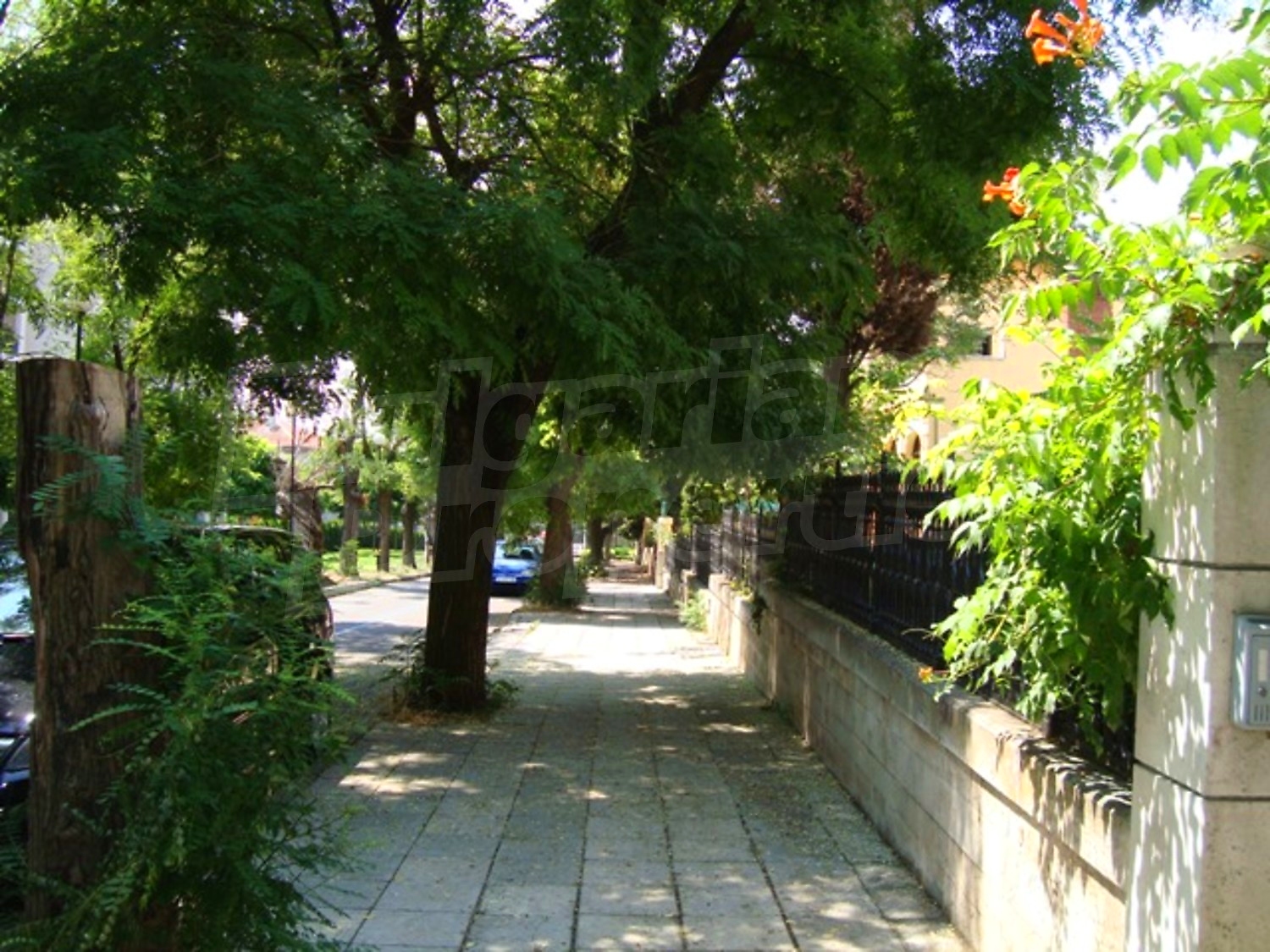 Gallery Picture 45