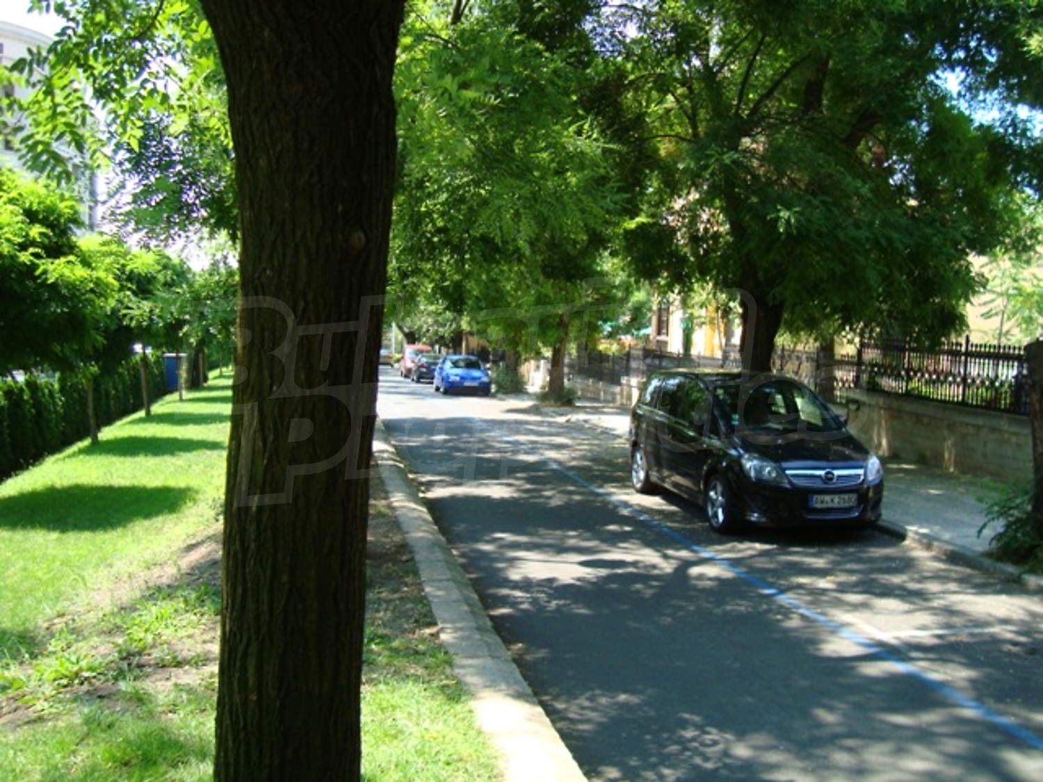 Gallery Picture 46